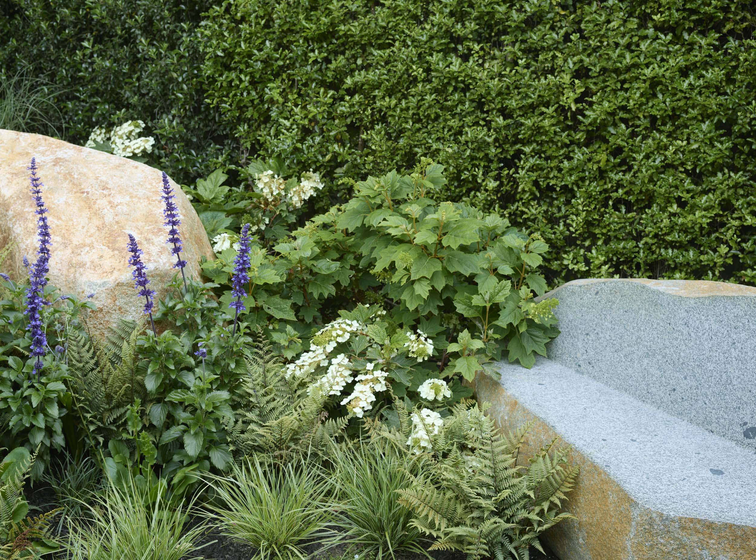 Dogwood Garden — Surfacedesign, Inc.