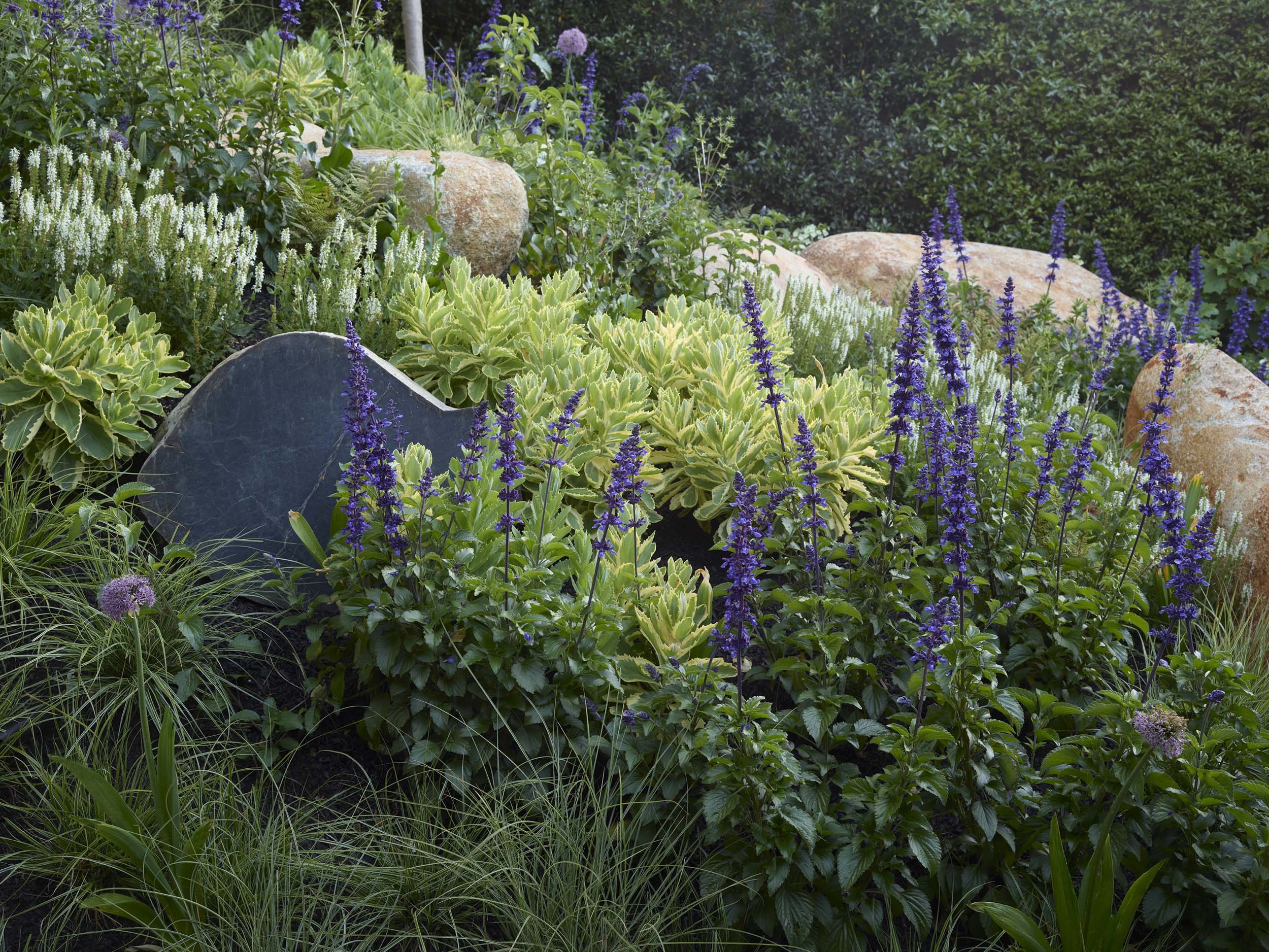 Dogwood Garden — Surfacedesign, Inc.