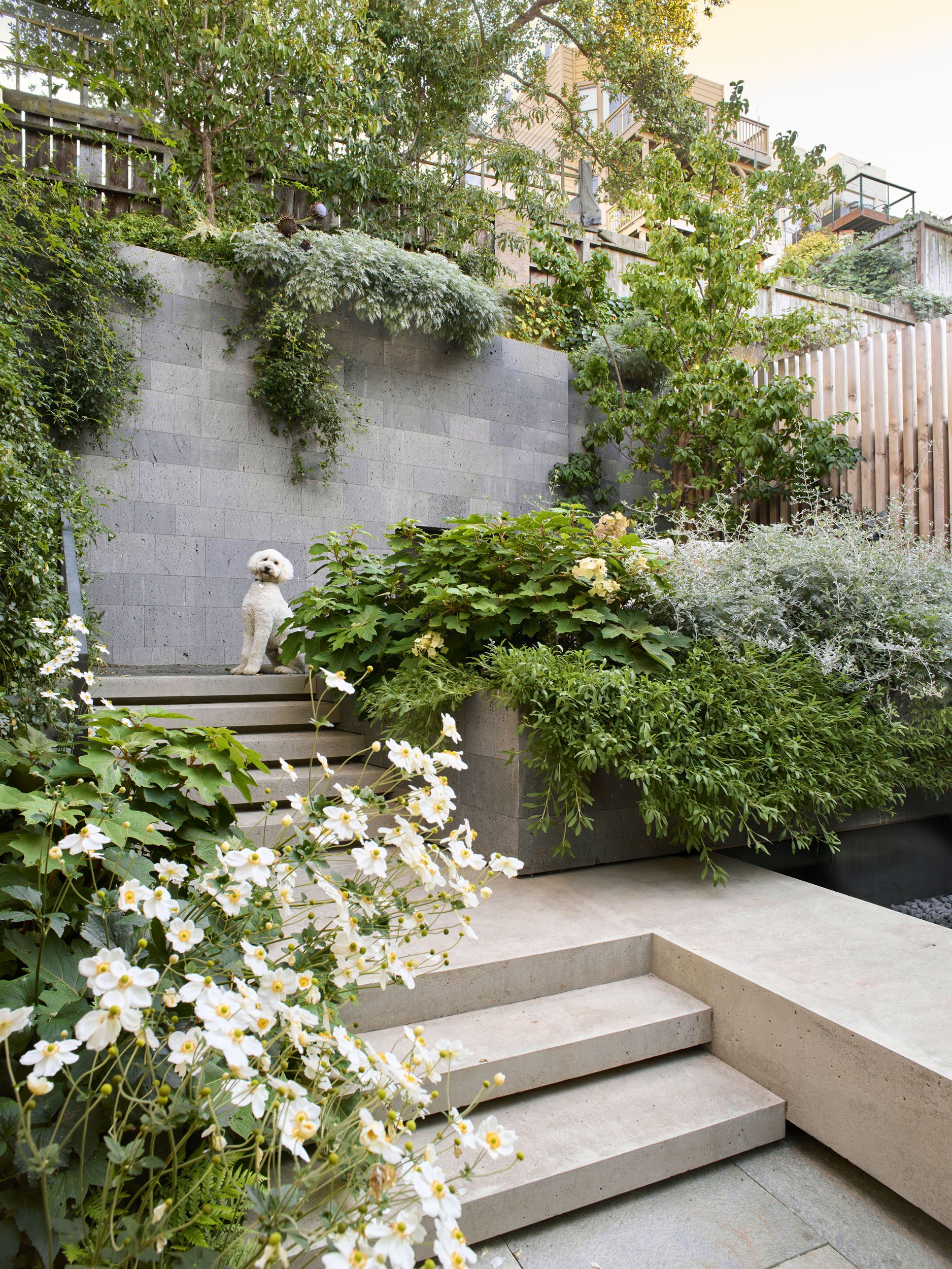 Dolores Garden — Surfacedesign, Inc.