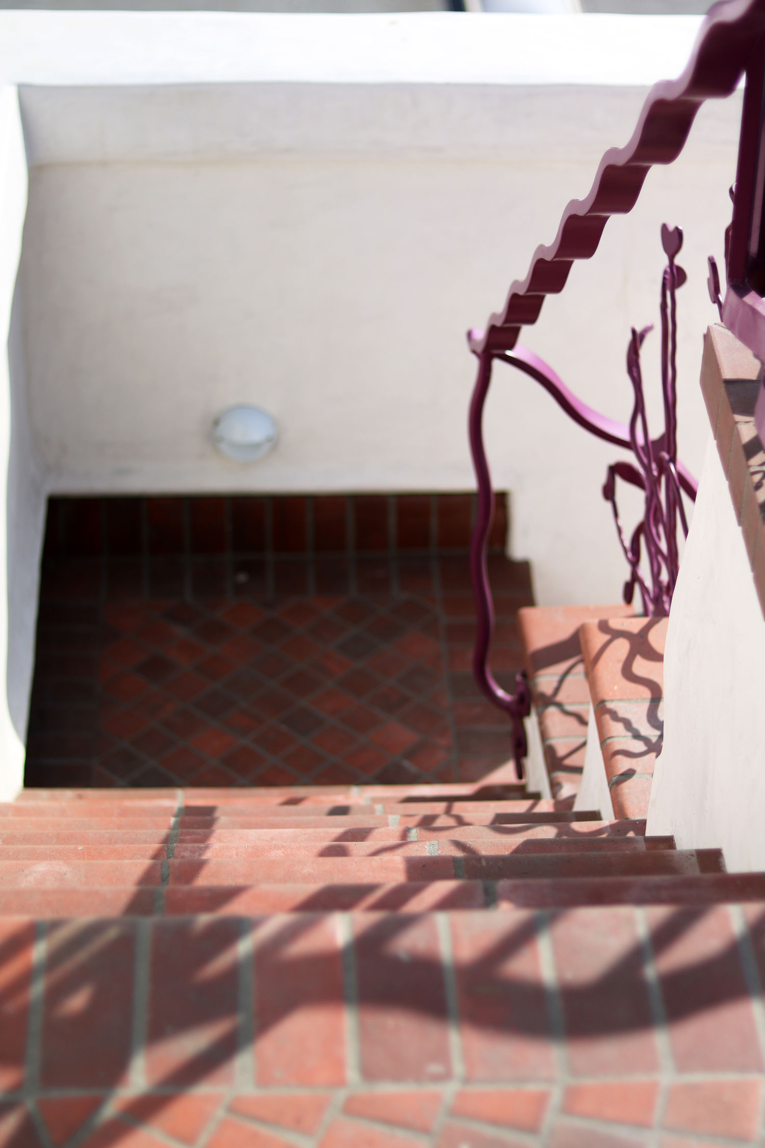 El Zapato — Jeff Shelton Architect