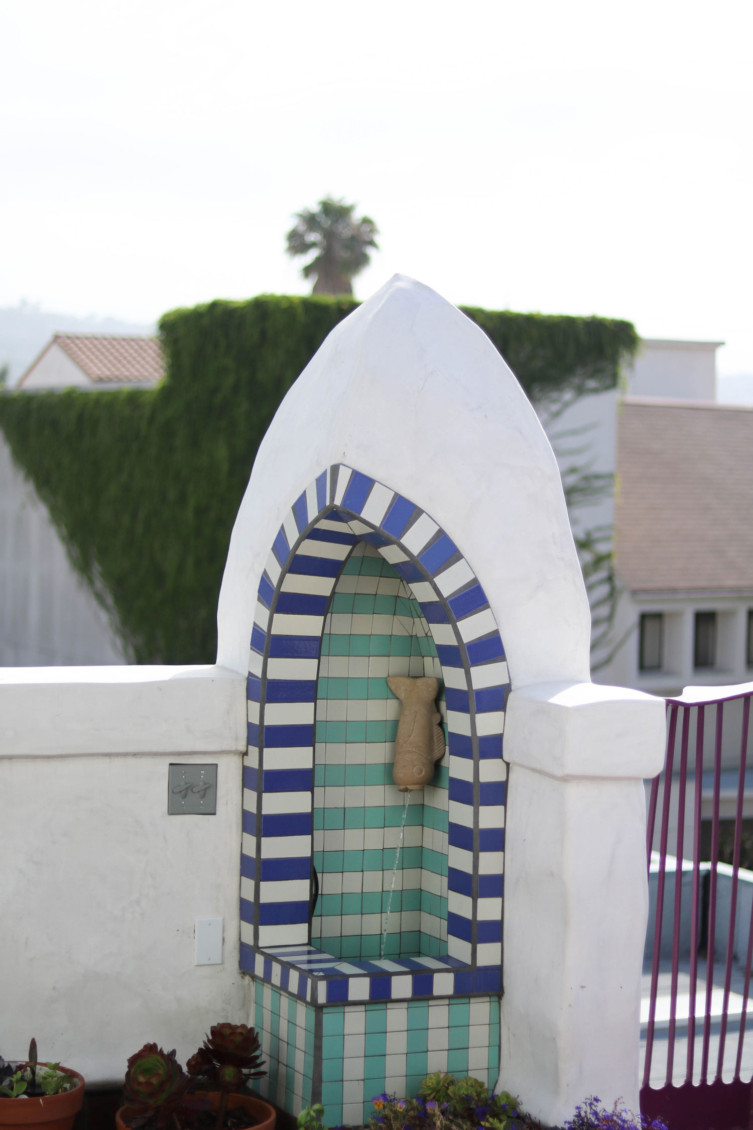 El Zapato — Jeff Shelton Architect