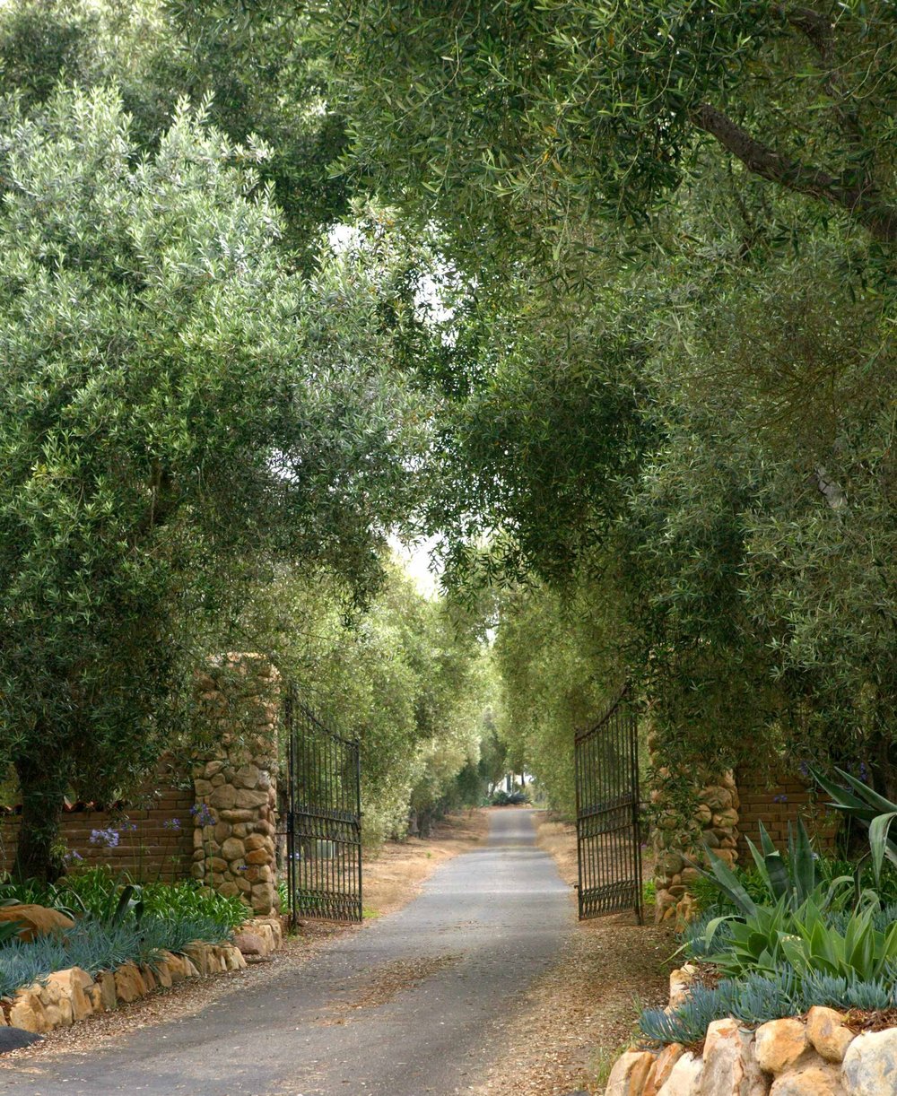 Ennisbrook Montecito, CA Hacienda: 1800s California Replication — Tom Meaney | Architect