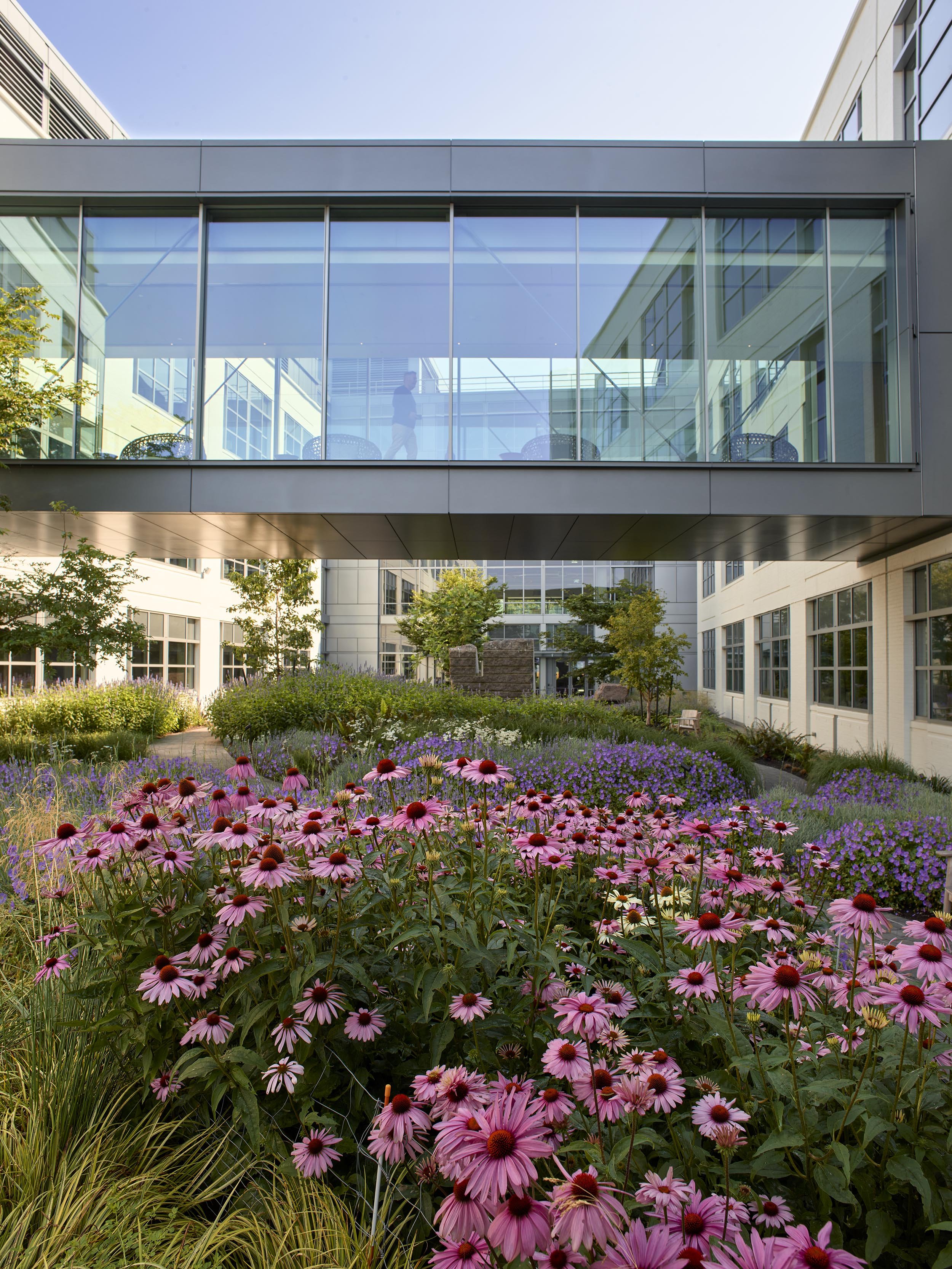 Expedia HQ — Surfacedesign, Inc.