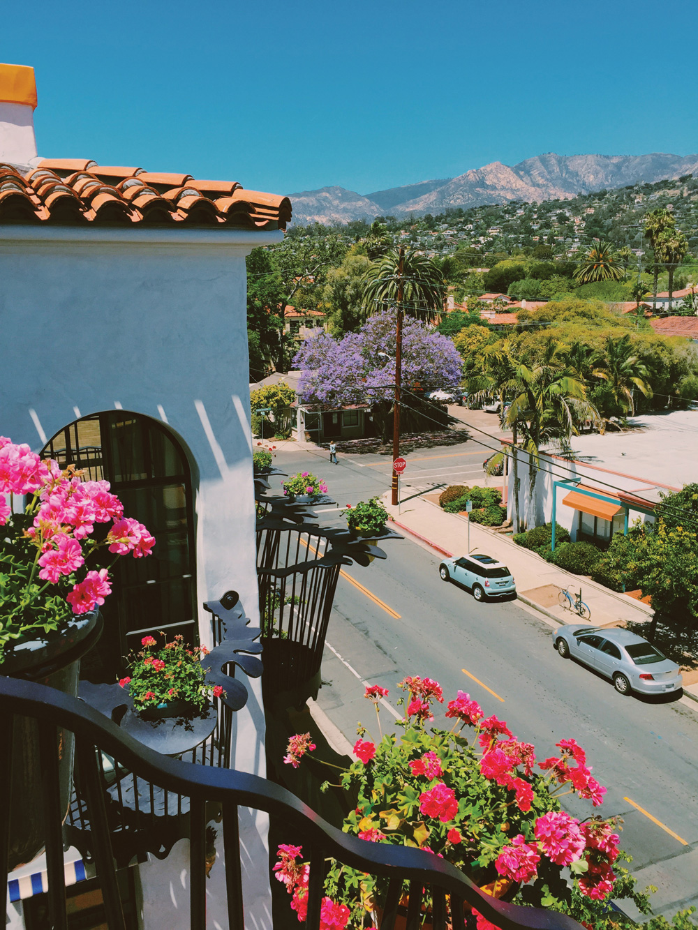 El Jardin — Jeff Shelton Architect