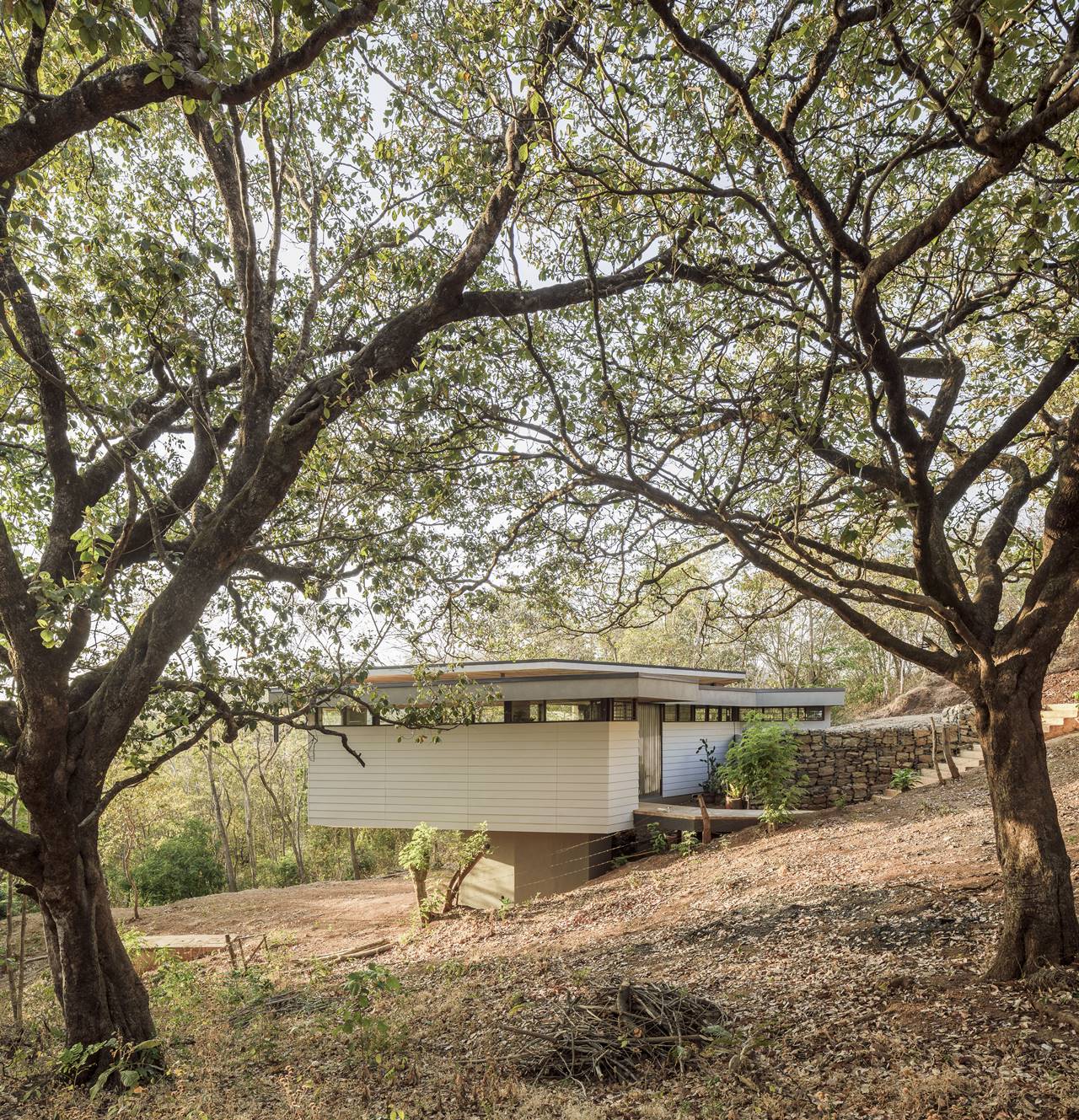 FLOATING LEAF HOUSE — LSD – LABORATORY SUSTAINING DESIGN