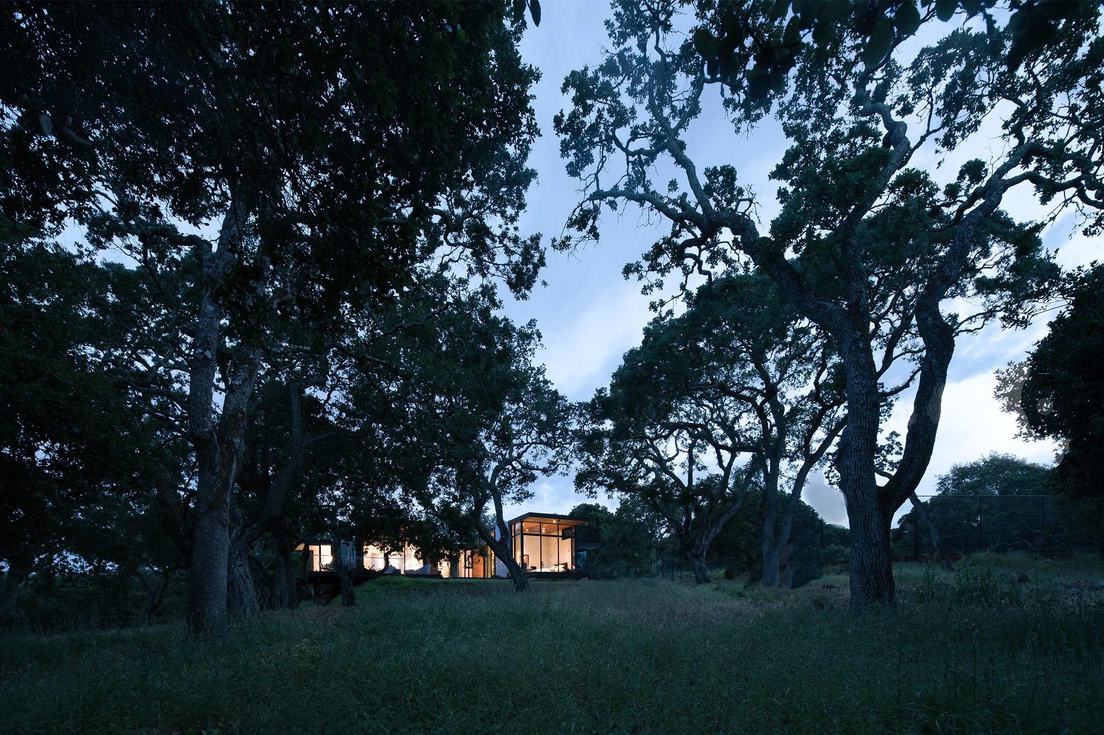 FORTY ONE OAKS — Field Architecture