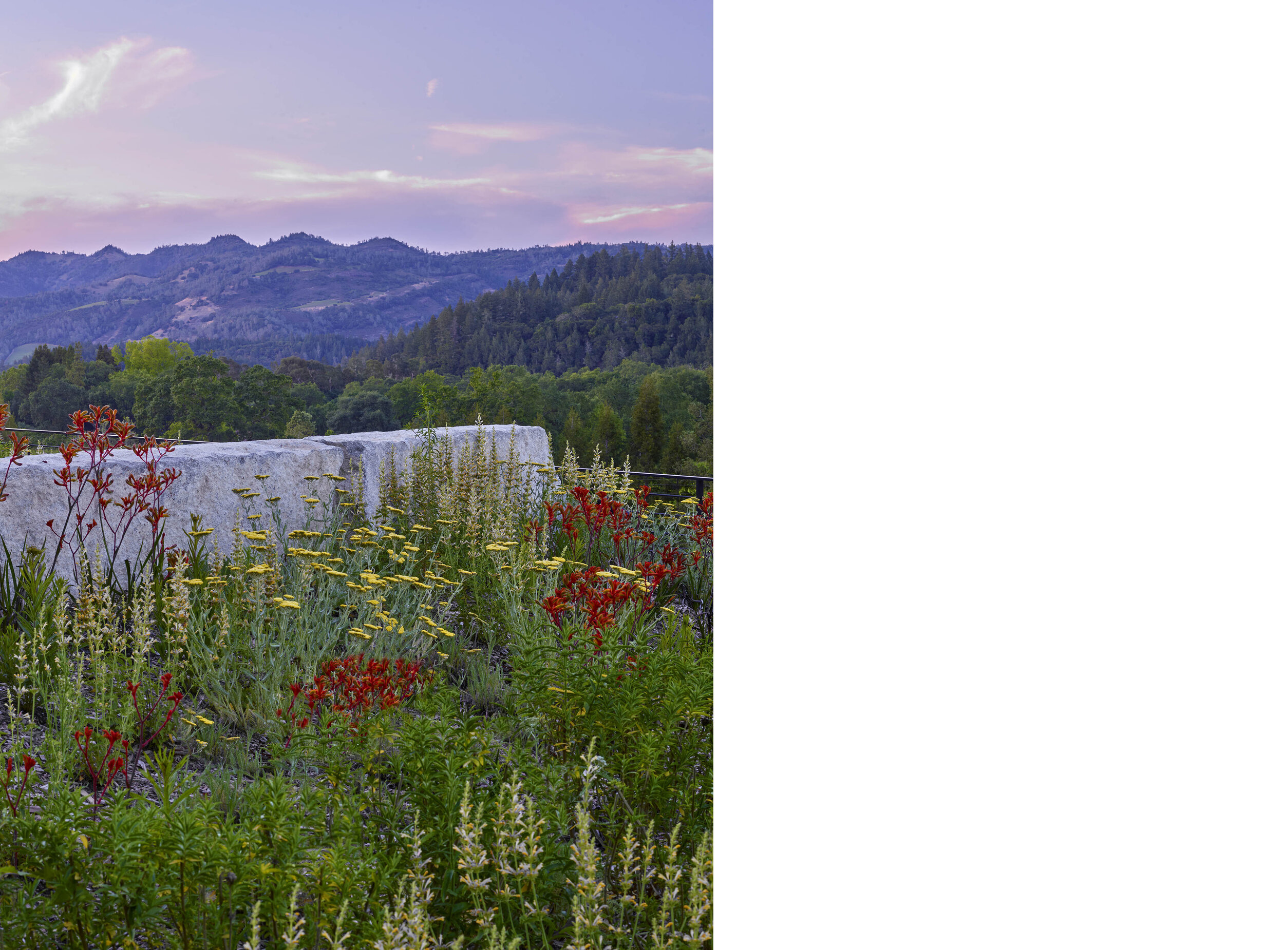 Faust Winery — Surfacedesign, Inc.