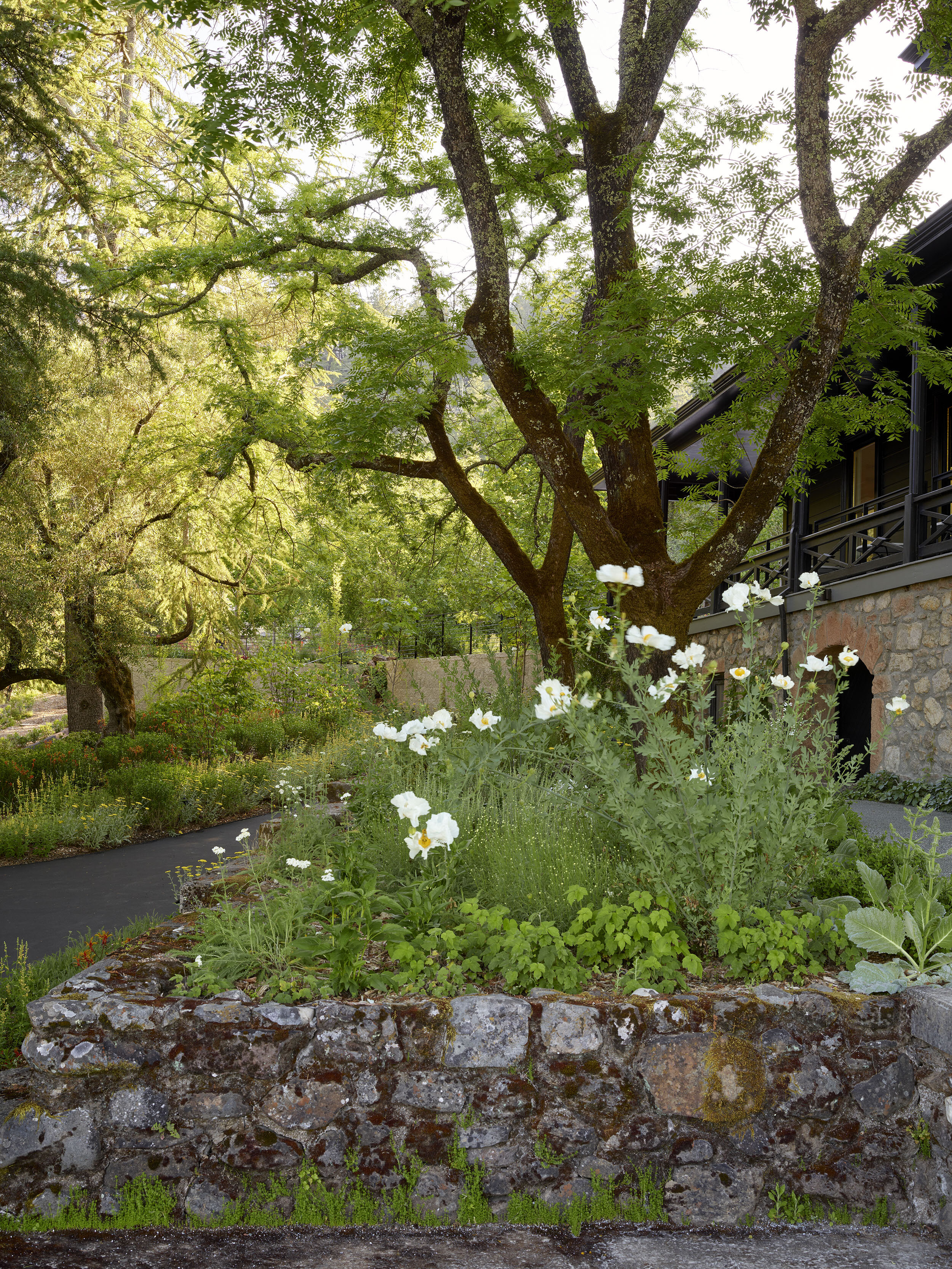 Faust Winery — Surfacedesign, Inc.