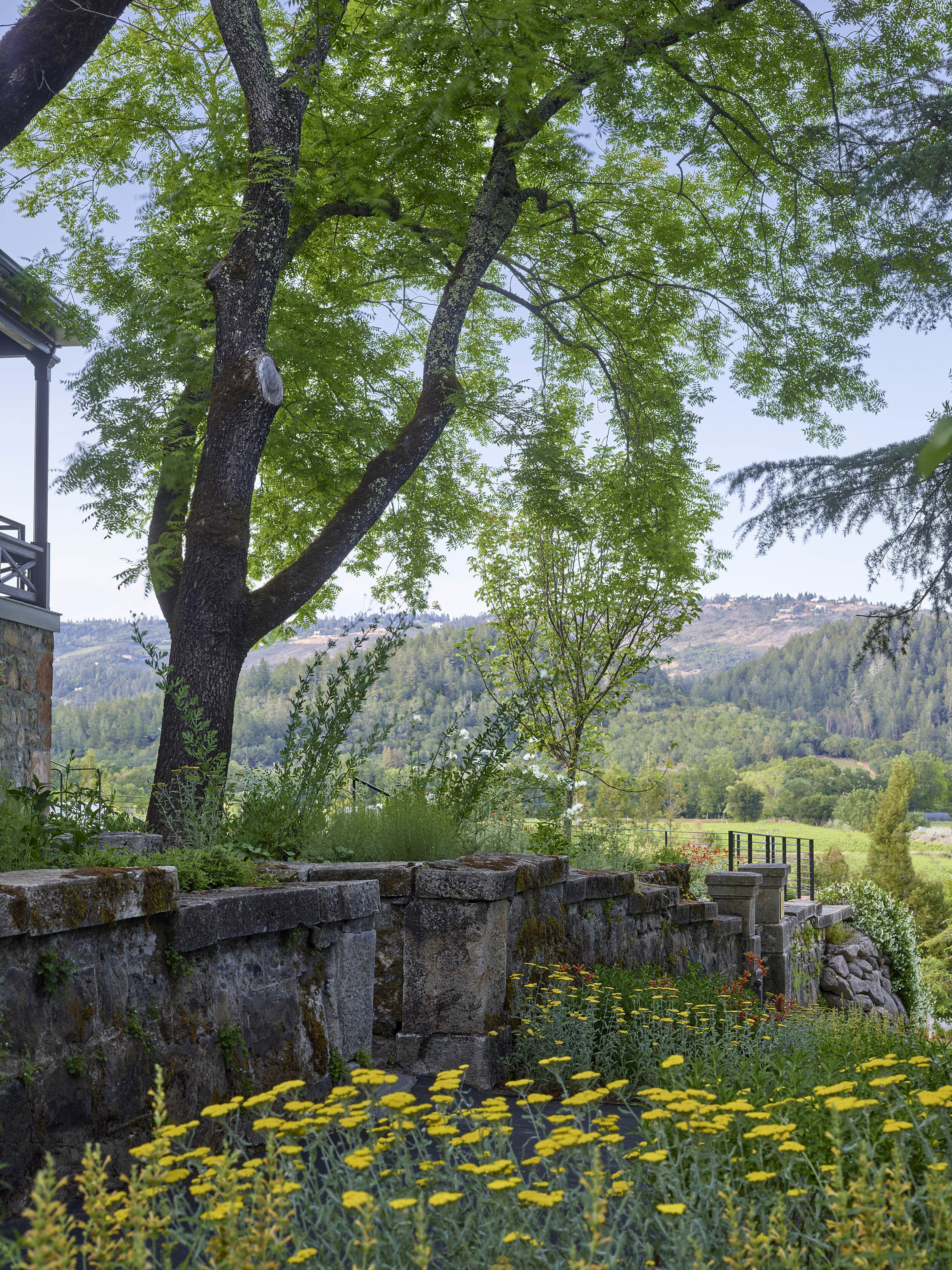 Faust Winery — Surfacedesign, Inc.