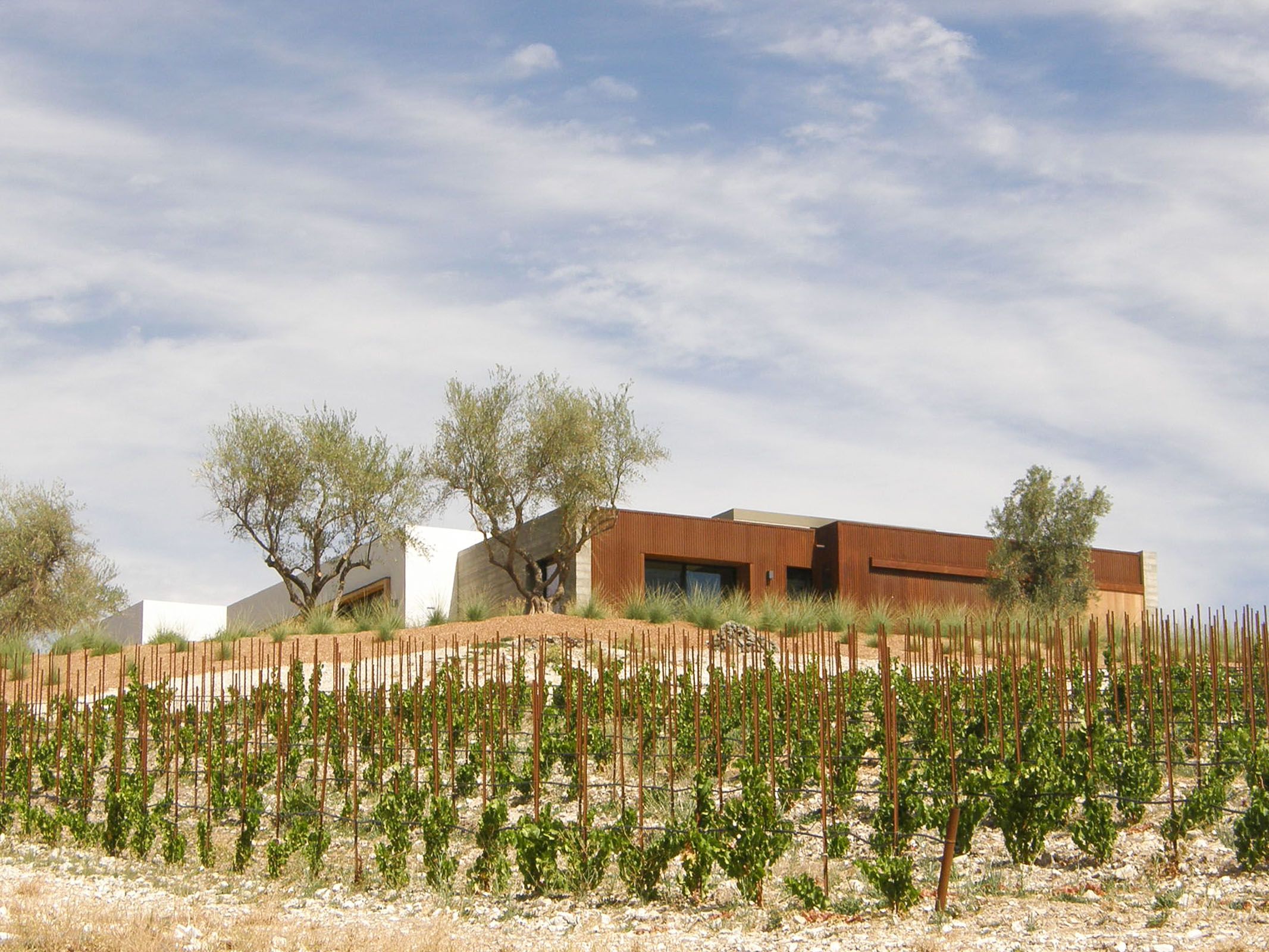 Vineyard House — Ferguson-Ettinger Architects