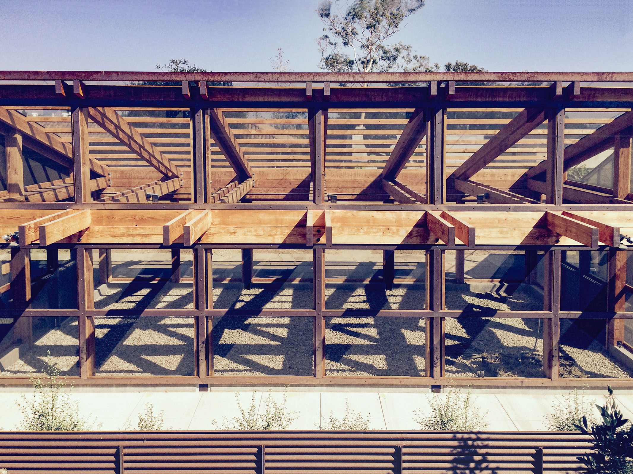 Green Shade Structure — Ferguson-Ettinger Architects