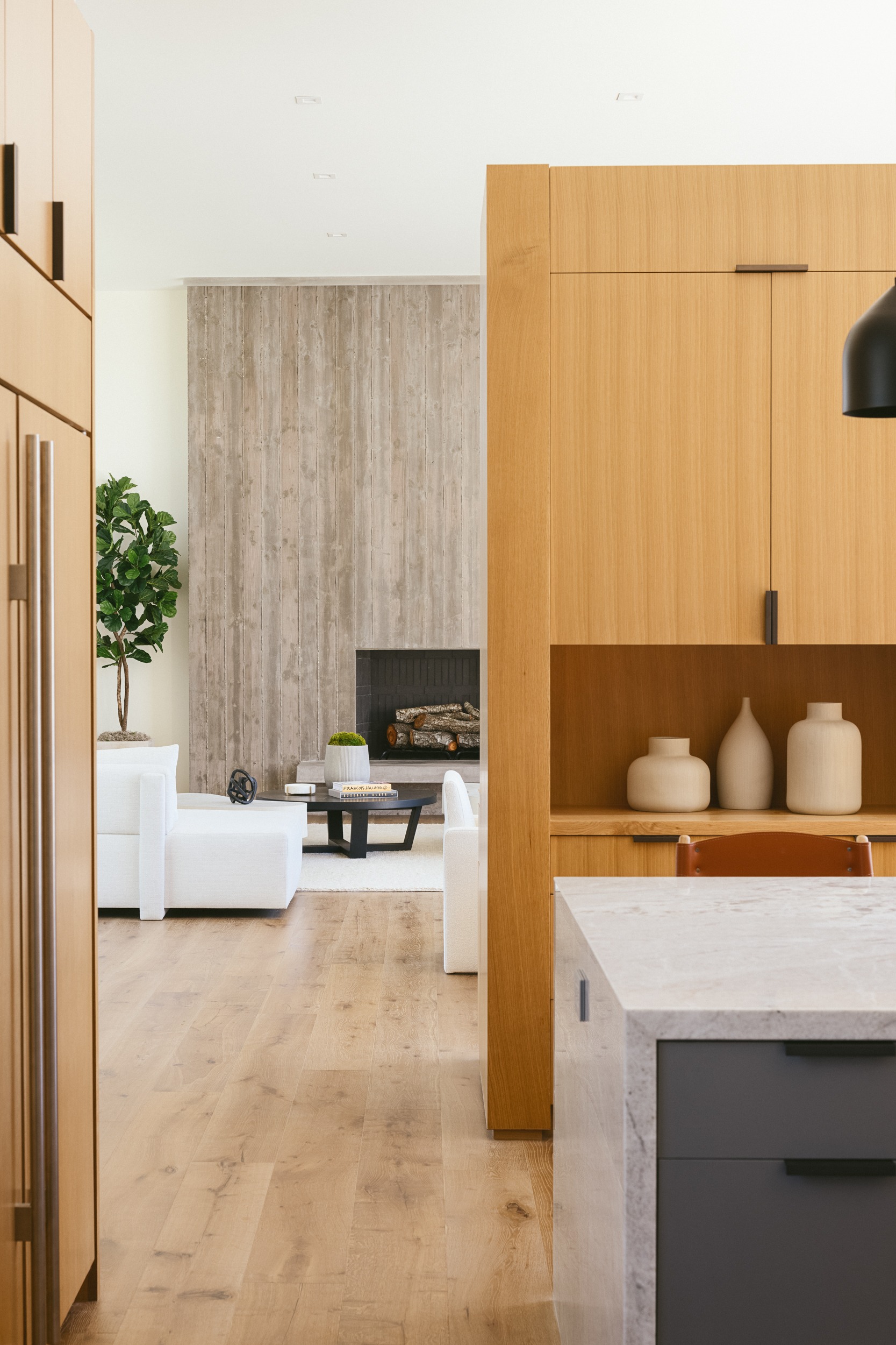 Open Sky House — Ferguson-Ettinger Architects