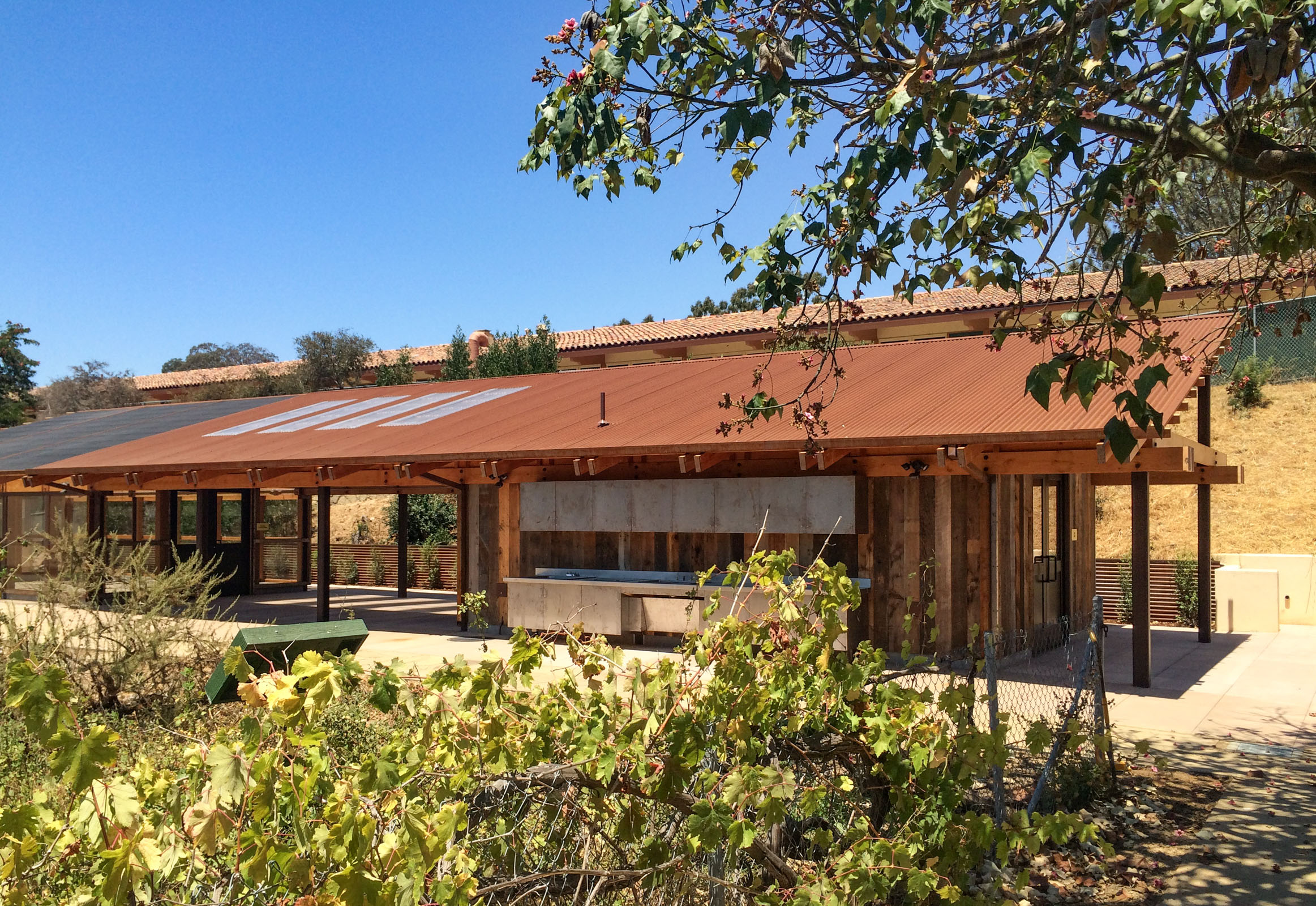 Green Shade Structure — Ferguson-Ettinger Architects