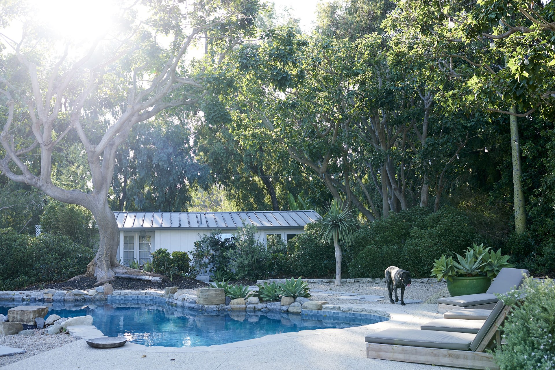 Fernhill — Fiore Landscape Design