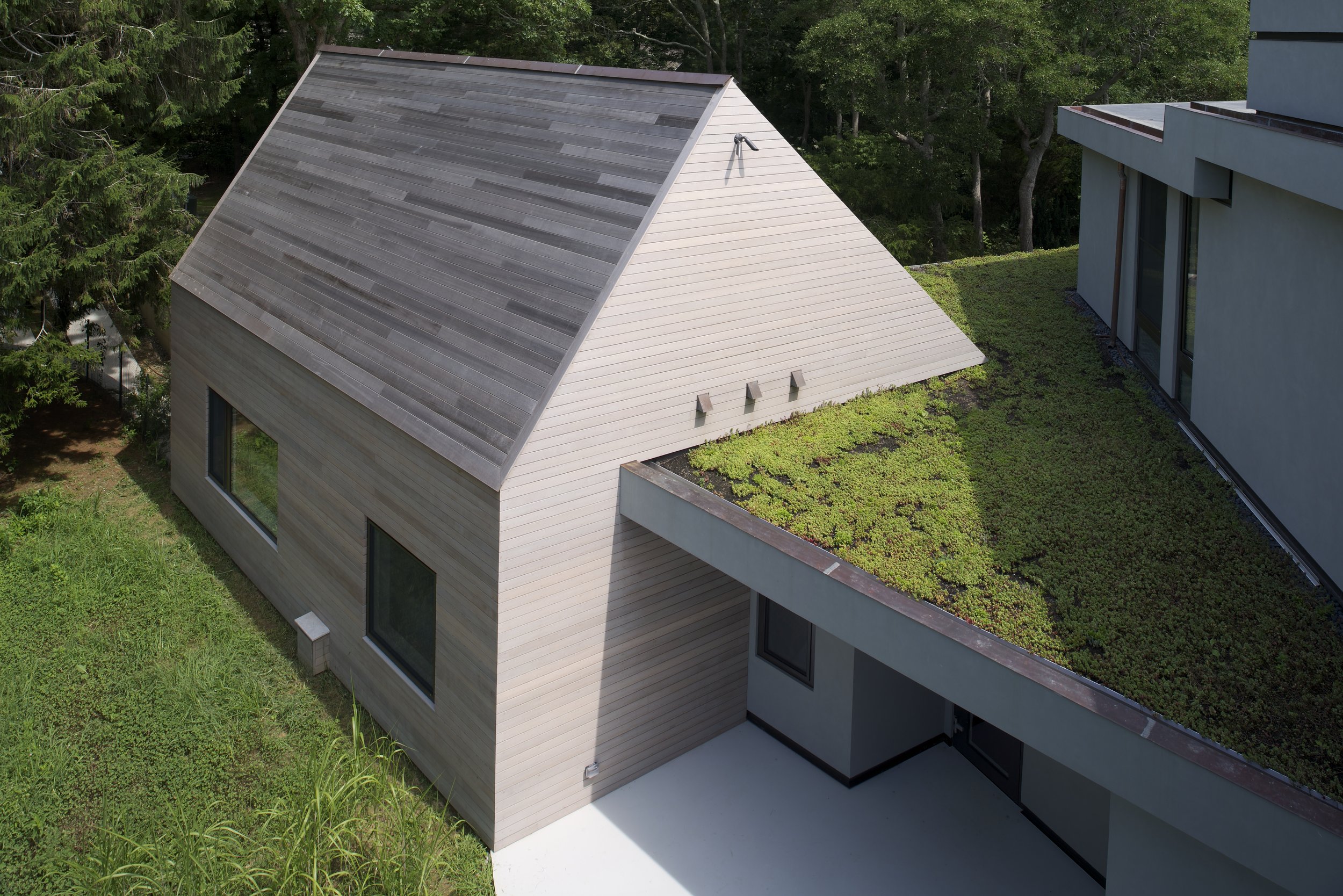 Frogs Pond — _MB Architecture
