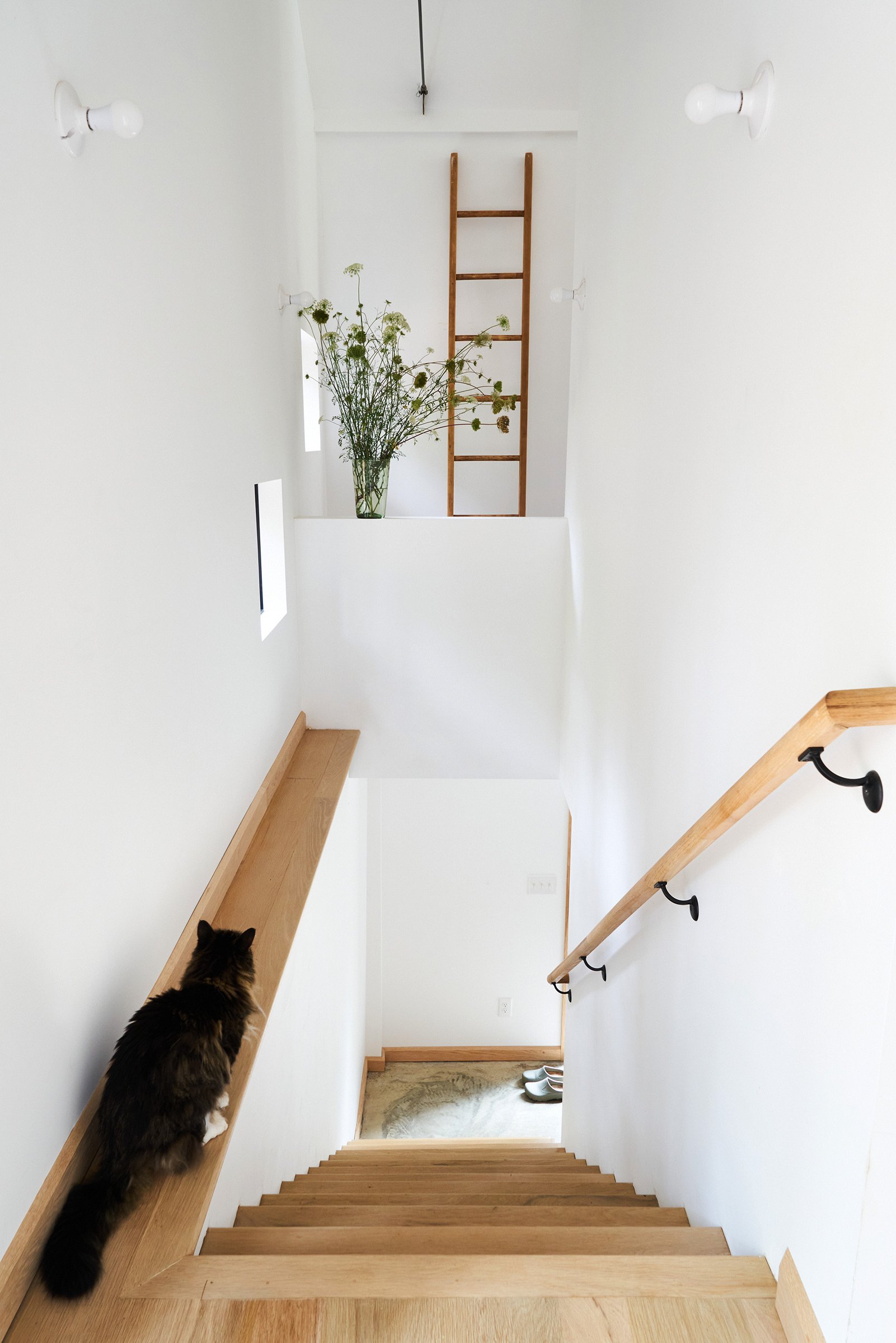 Green Barn — DEMO Architects