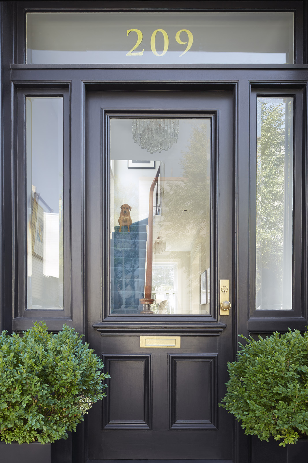 Greenpoint Townhouse — Joseph Vance Architects