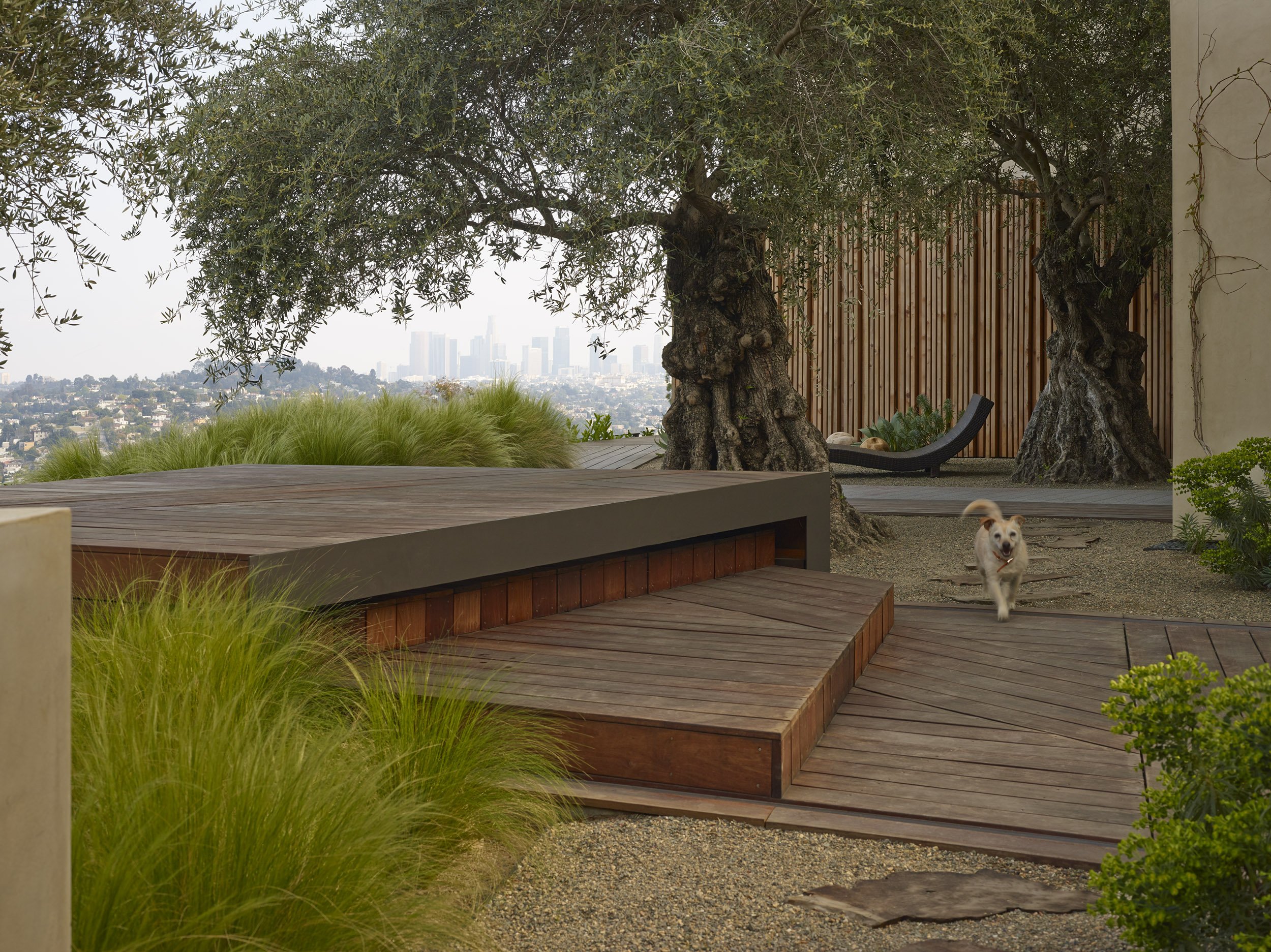 Griffith Park Residence — Surfacedesign, Inc.