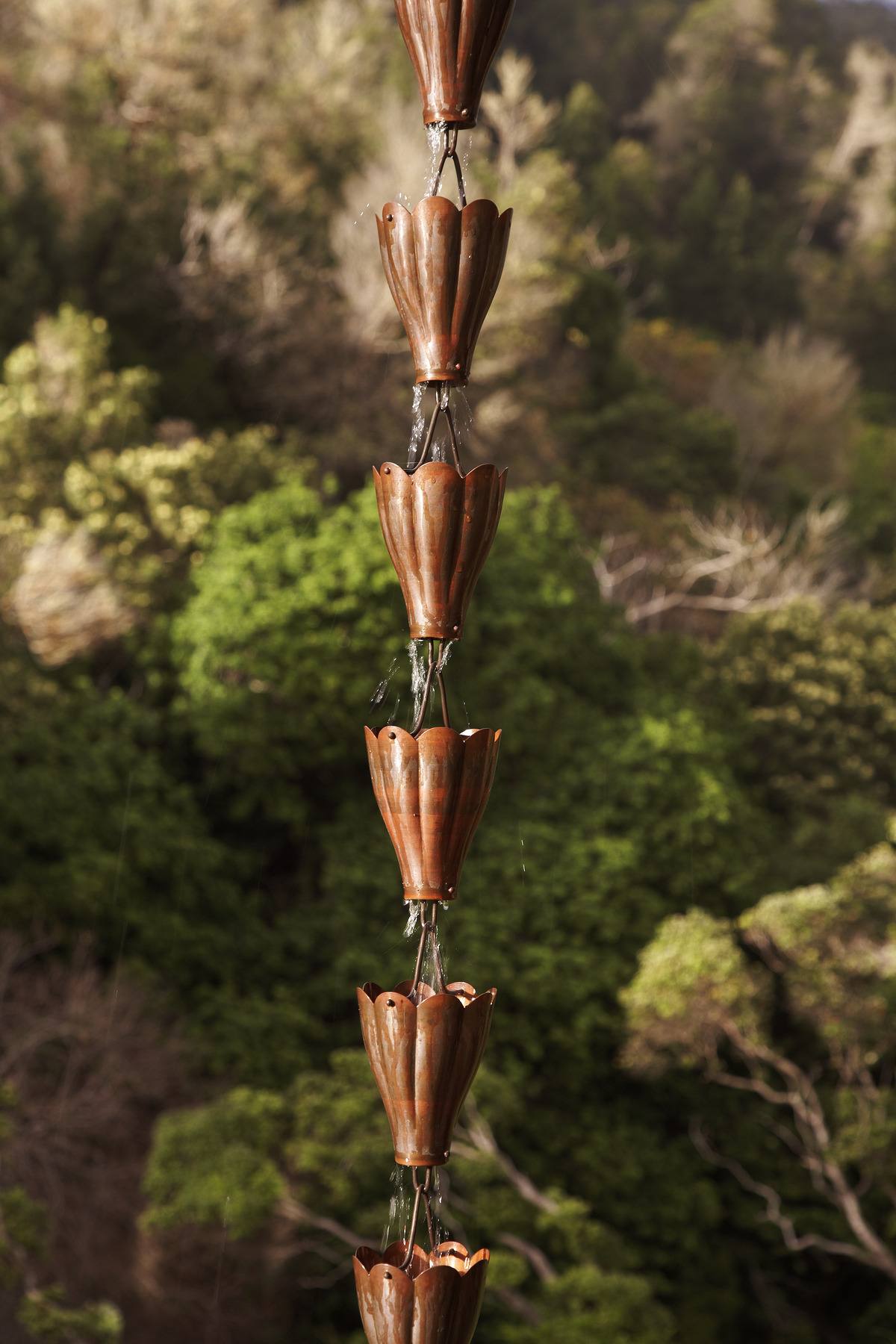 Hale Ma'alahi — Walker Warner