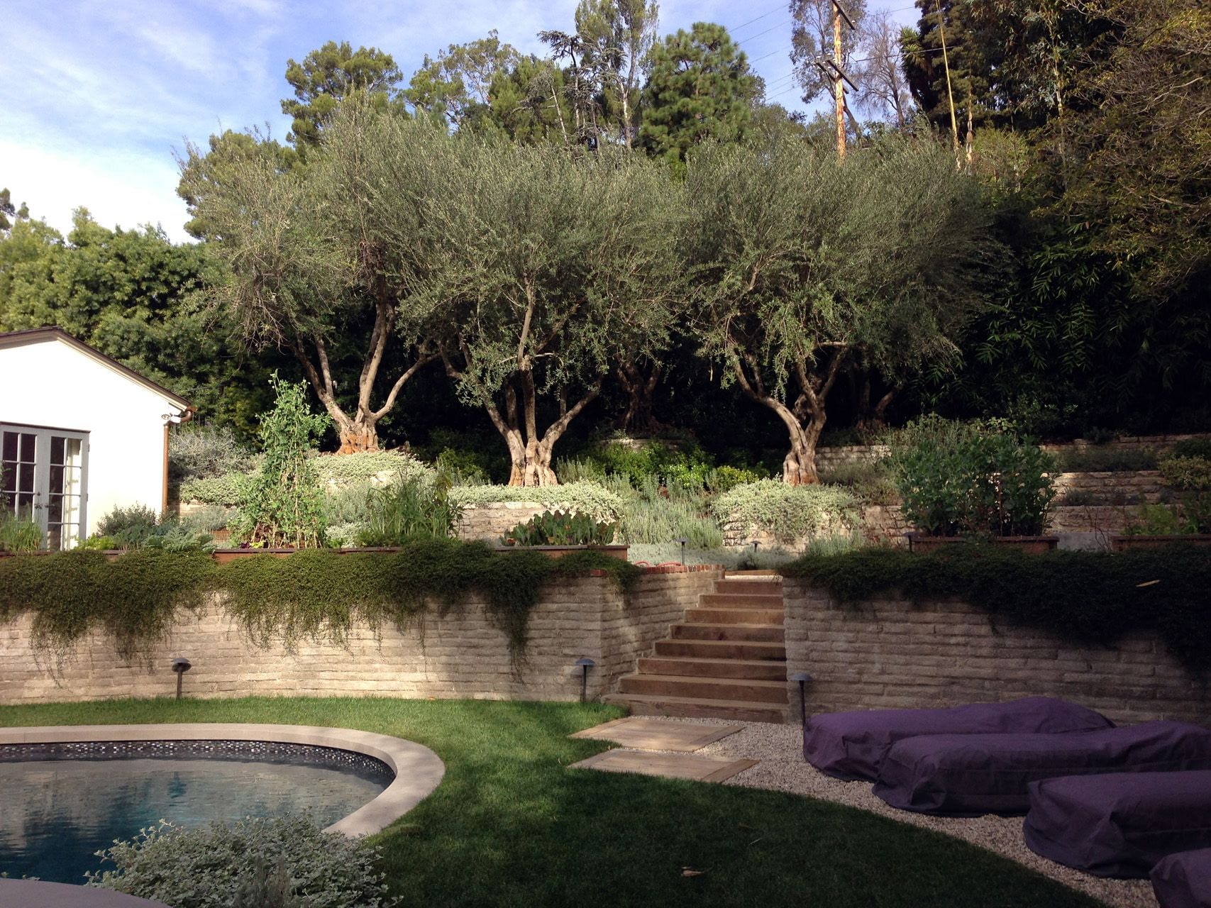 Hidden Valley Residence — Fiore Landscape Design