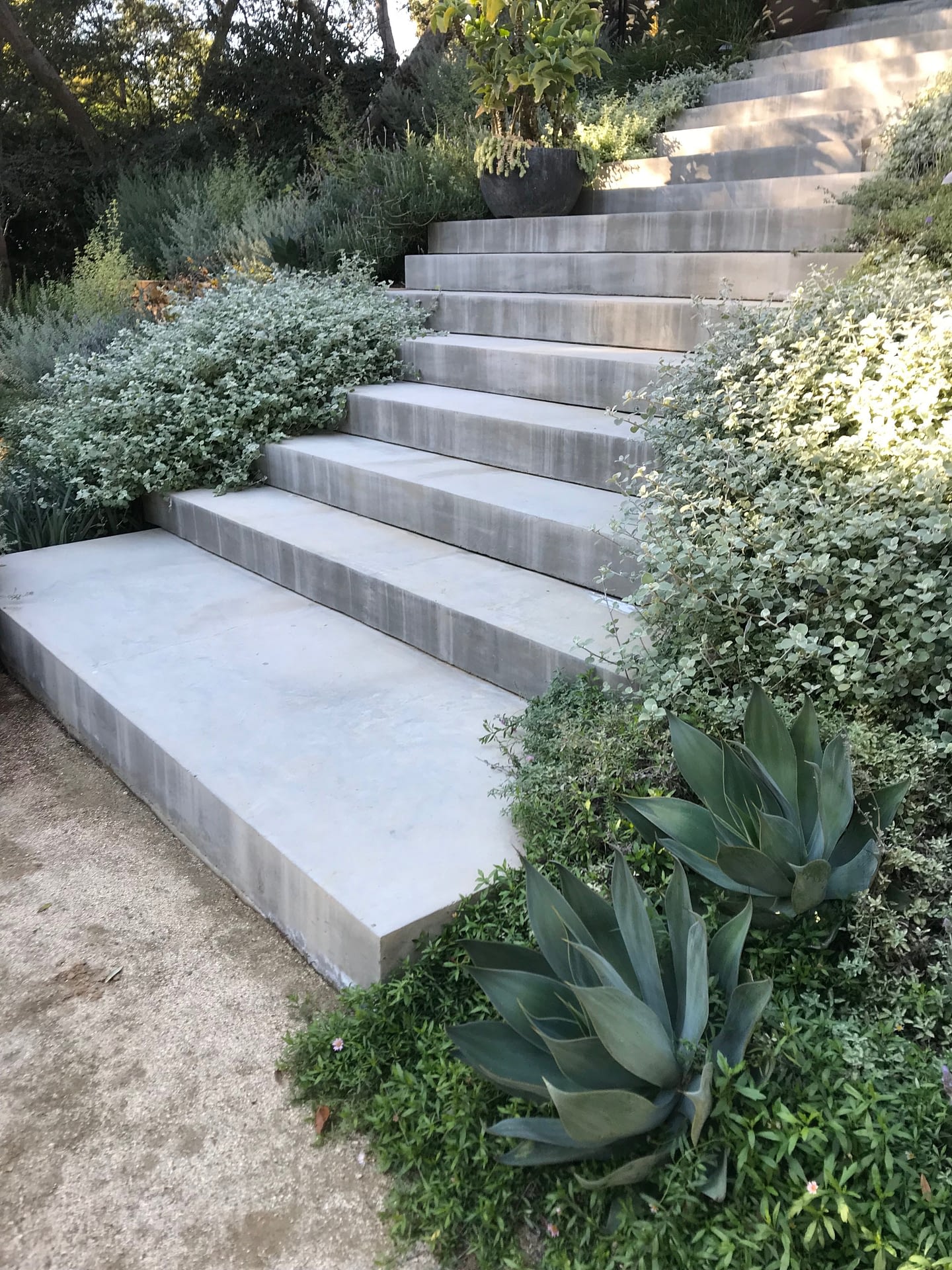 Hidden Valley Residence — Fiore Landscape Design
