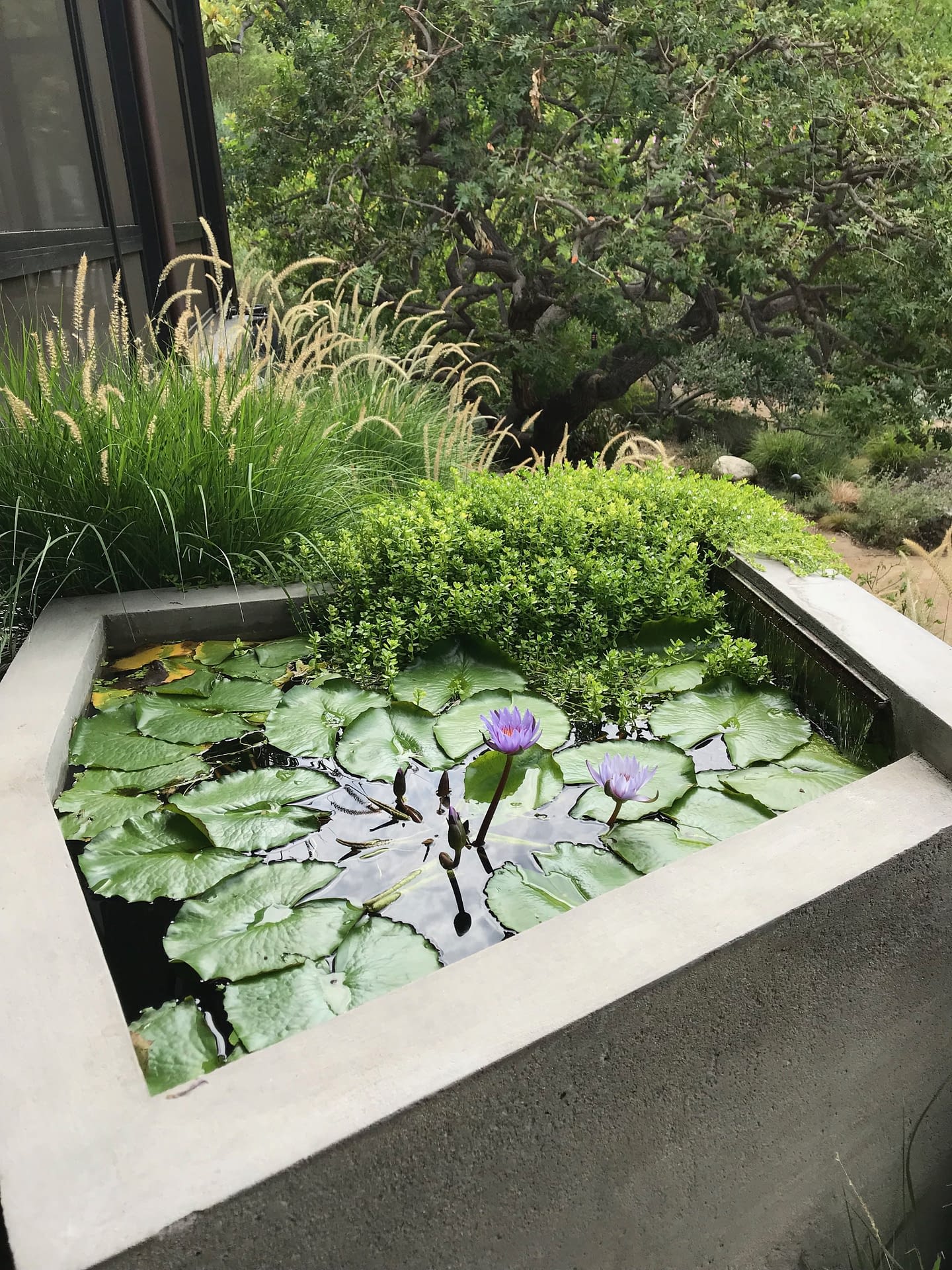 Hidden Valley Residence — Fiore Landscape Design