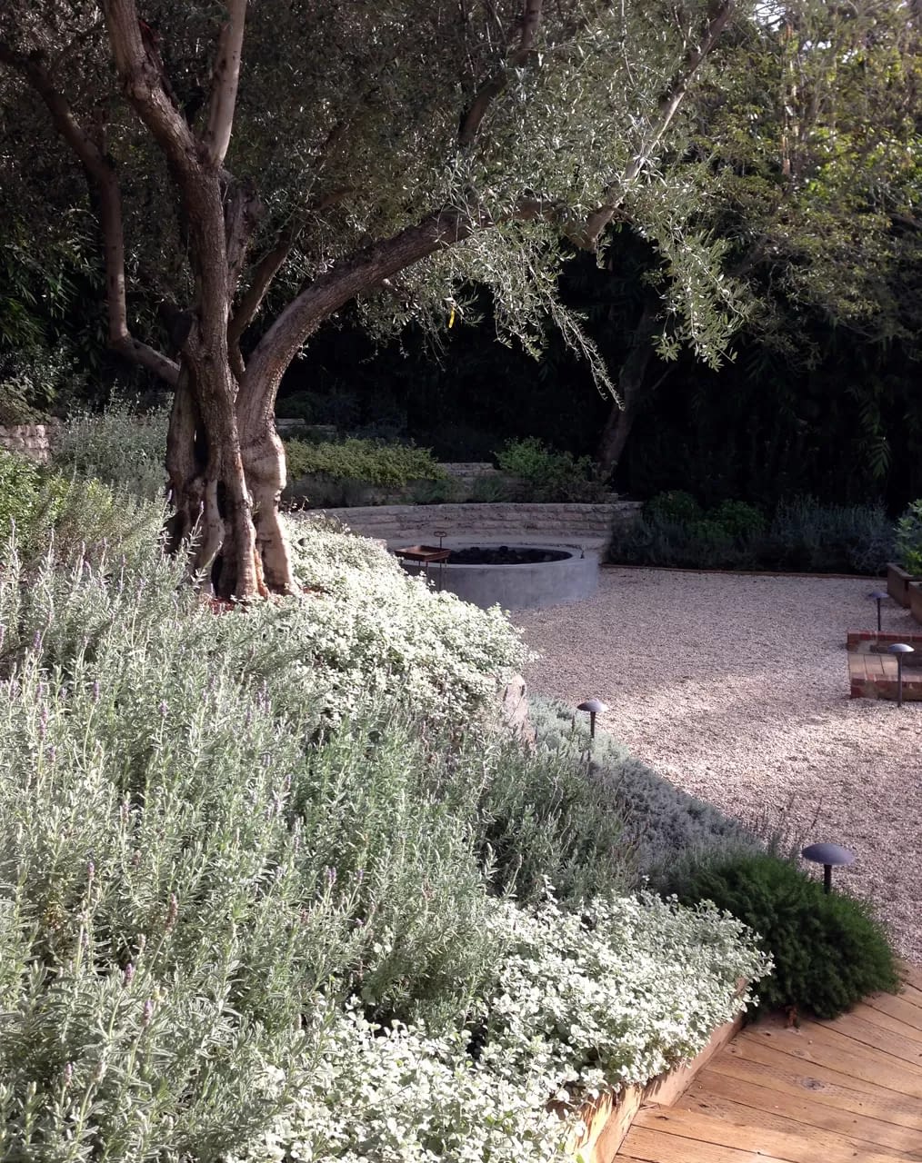 Hidden Valley Residence — Fiore Landscape Design