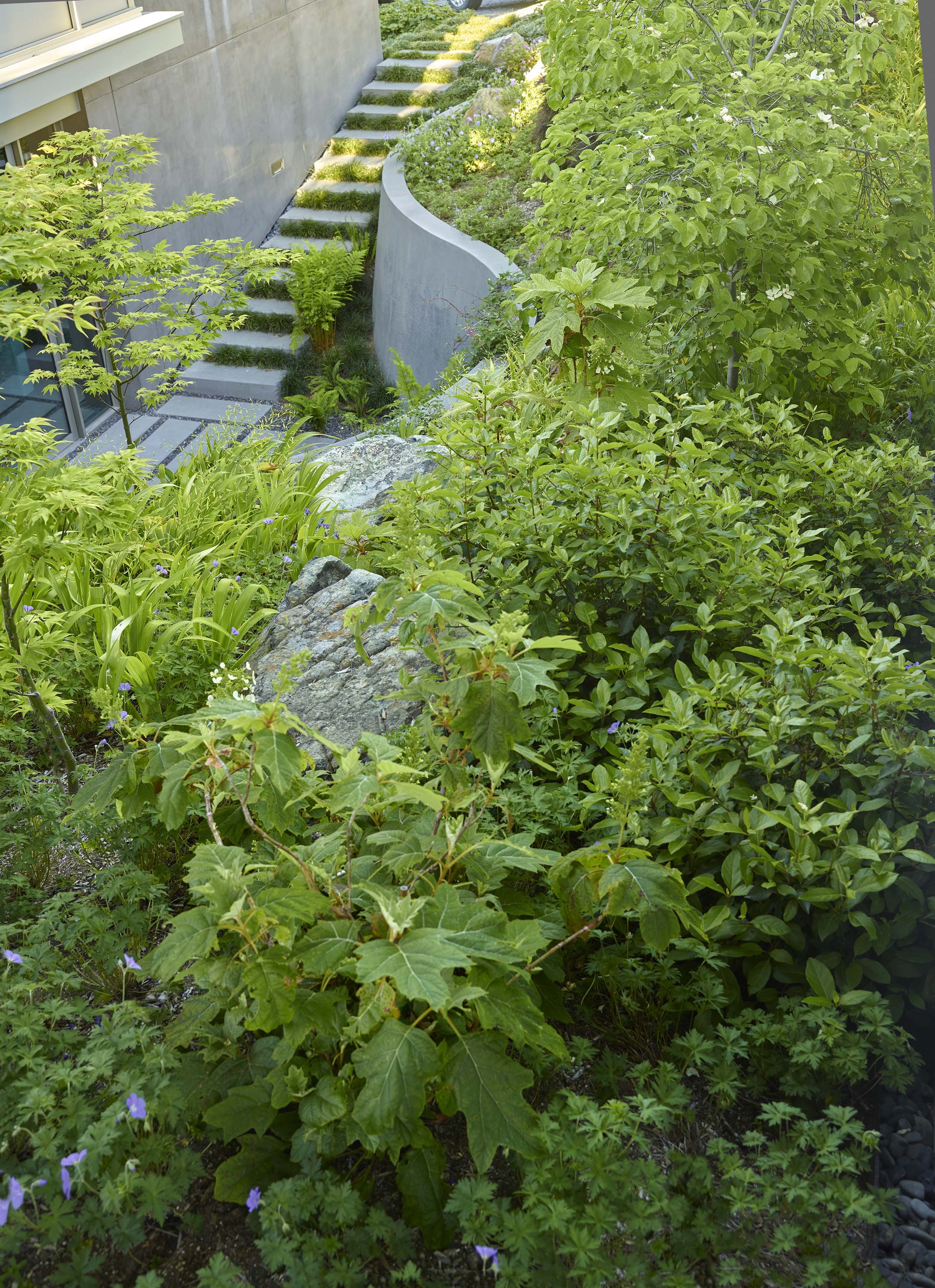 Hill House — Surfacedesign, Inc.