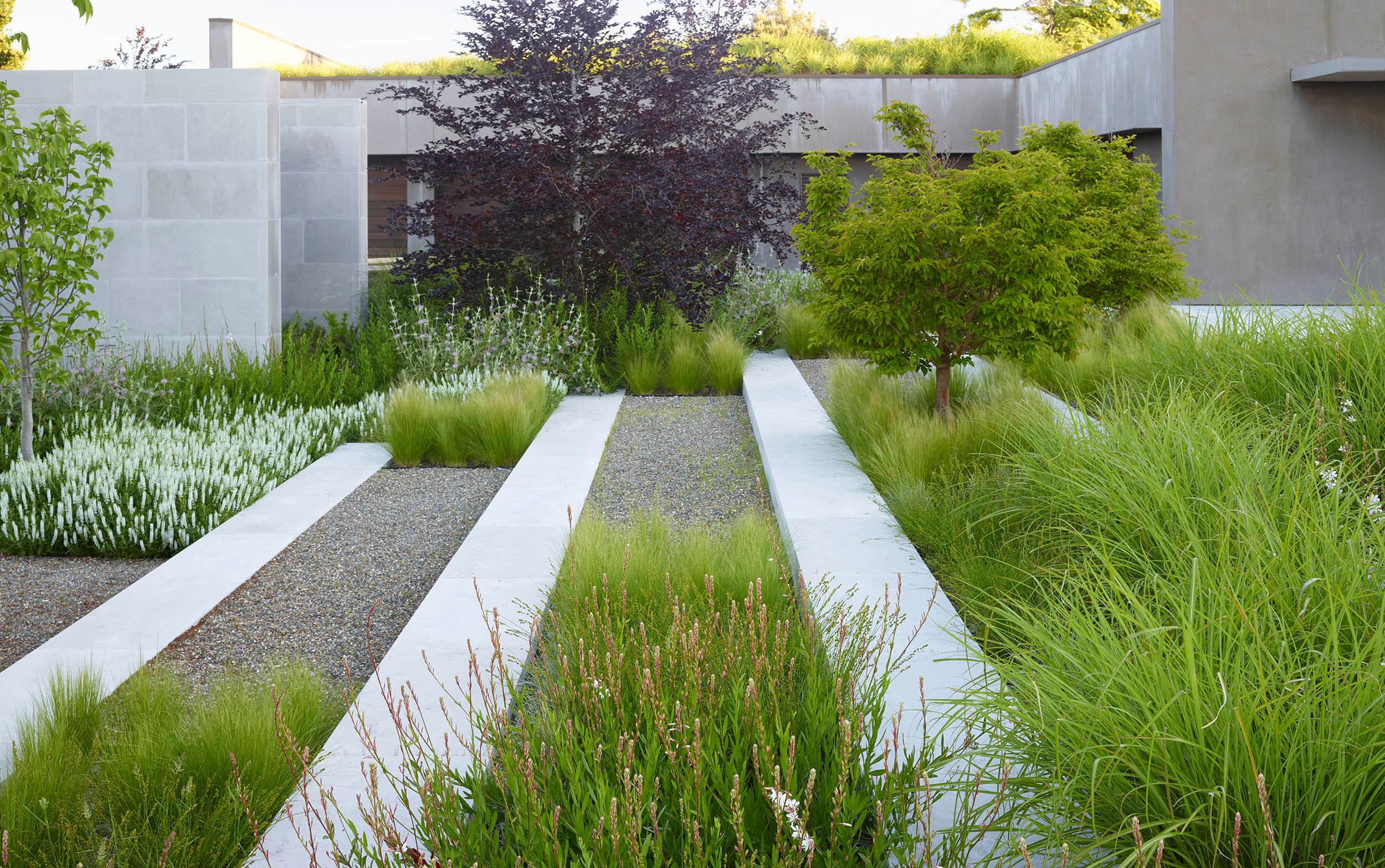 Hill House — Surfacedesign, Inc.