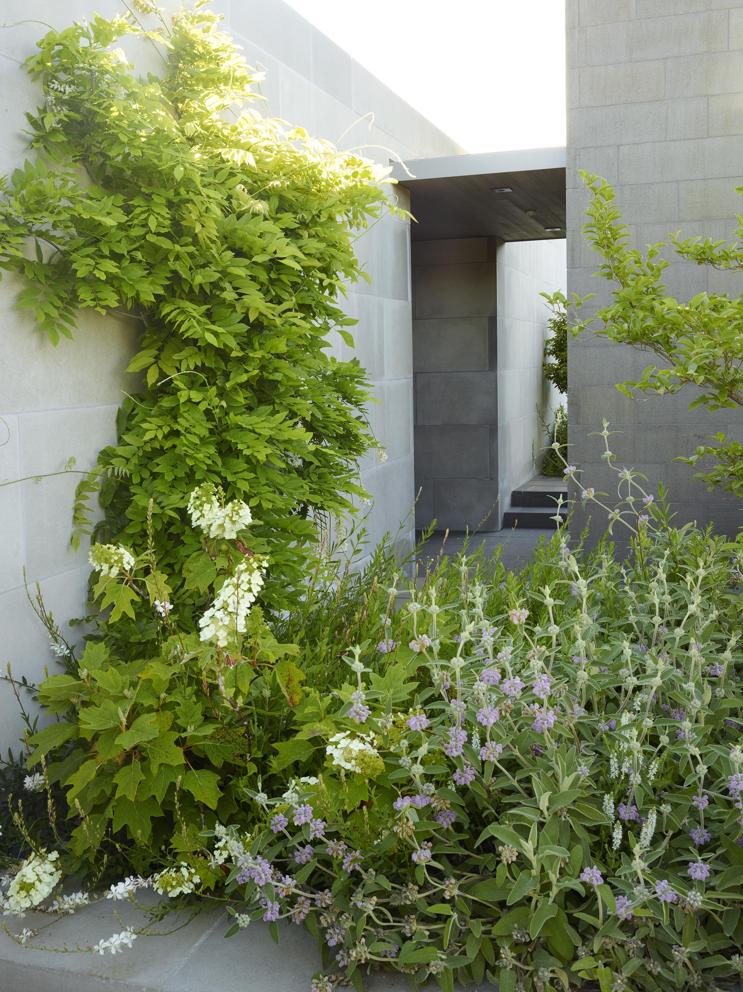Hill House — Surfacedesign, Inc.