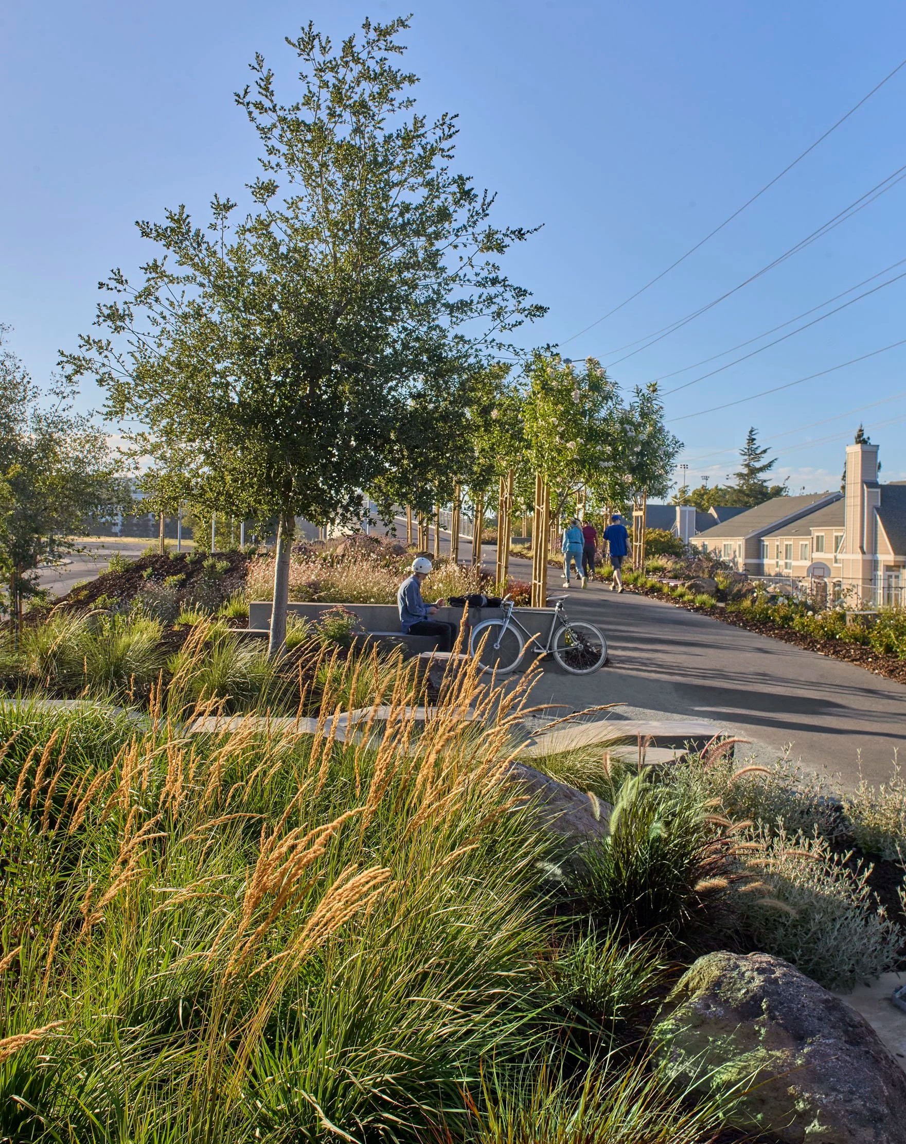 Iron Horse Trail Bollinger Canyon Rd Overcrossing — Surfacedesign, Inc.