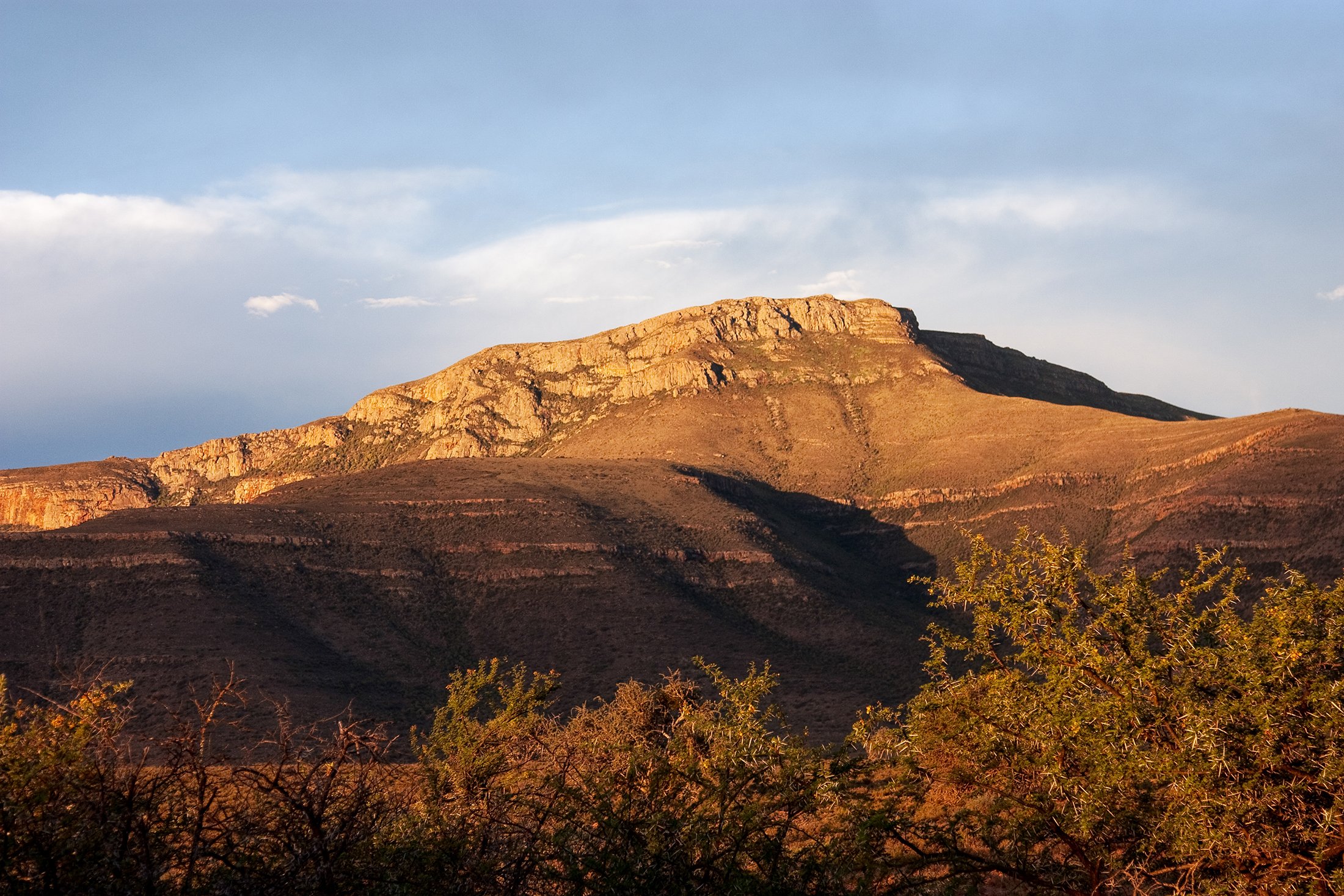Karoo Wilderness Center — Field Architecture