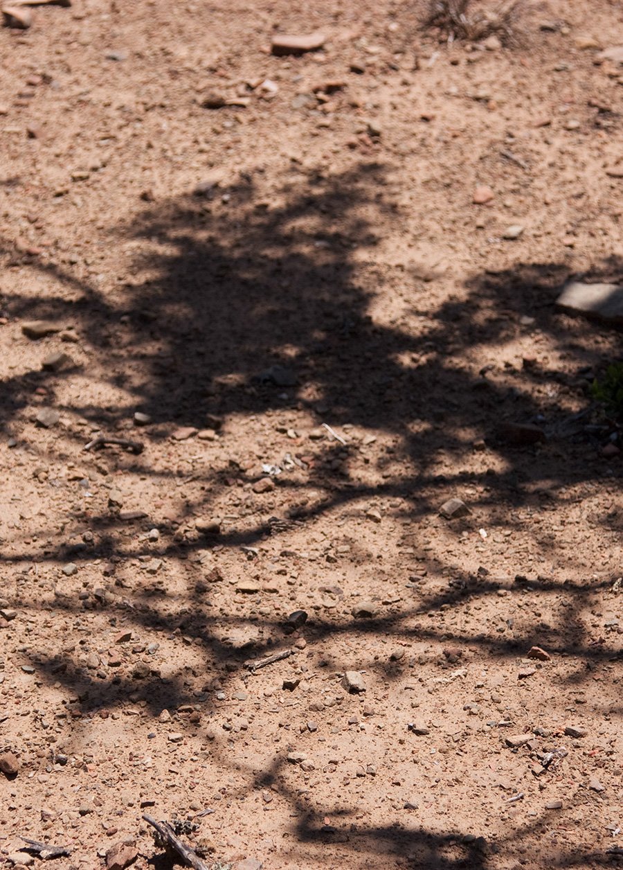 Karoo Wilderness Center — Field Architecture