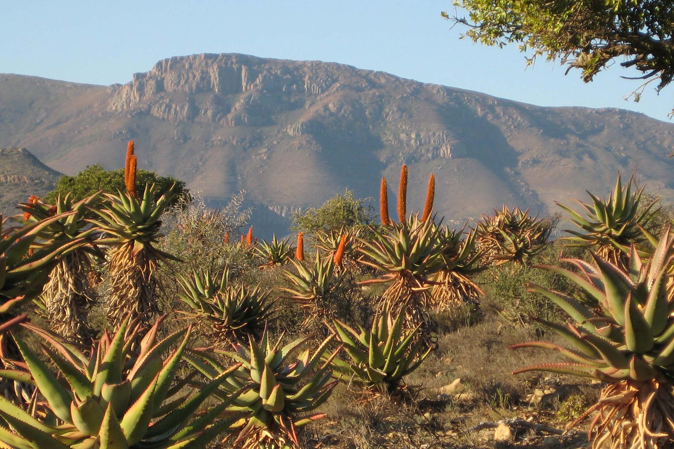 KAROO WILDERNESS CENTER — Field Architecture
