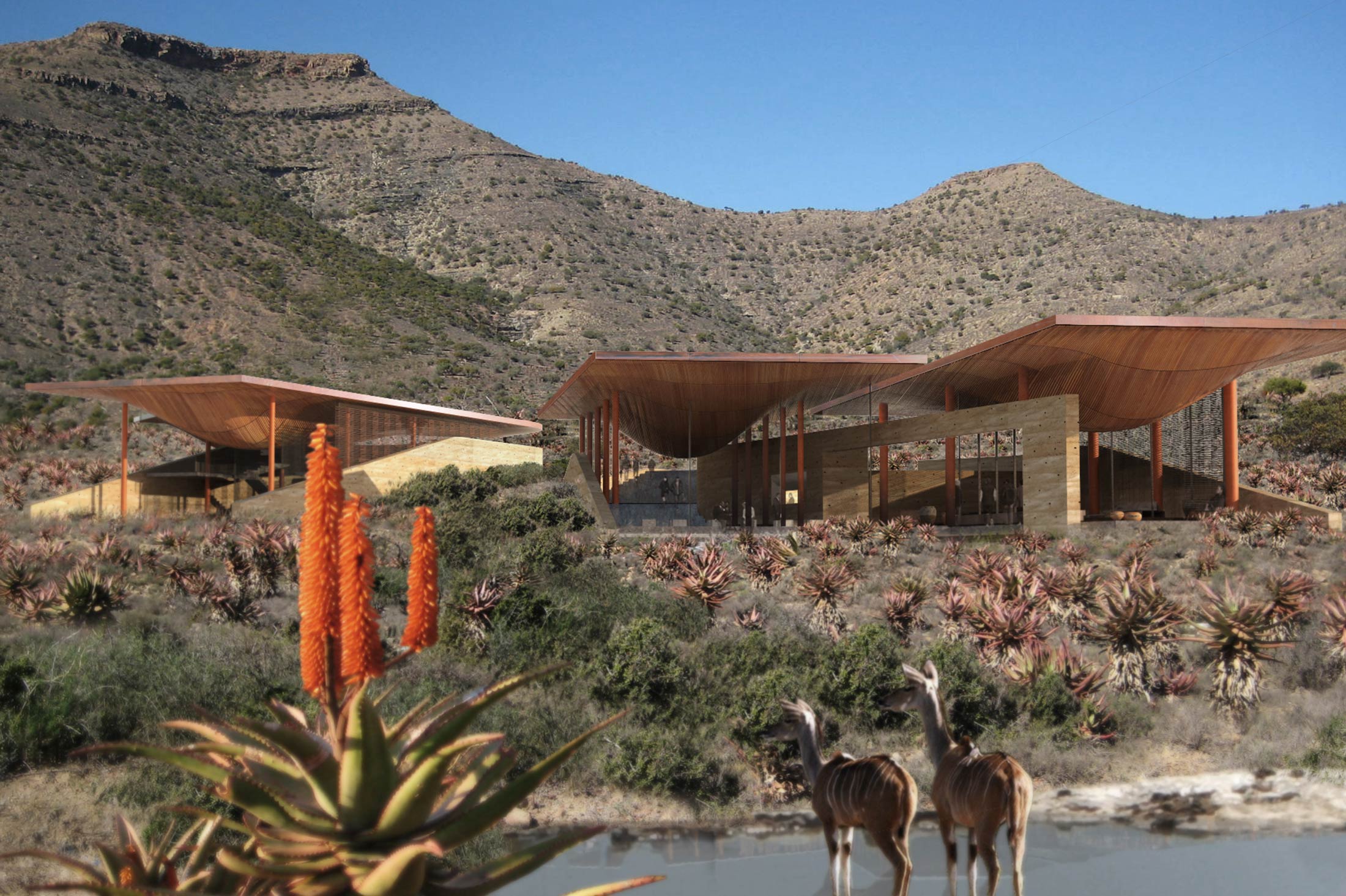 KAROO WILDERNESS CENTER — Field Architecture