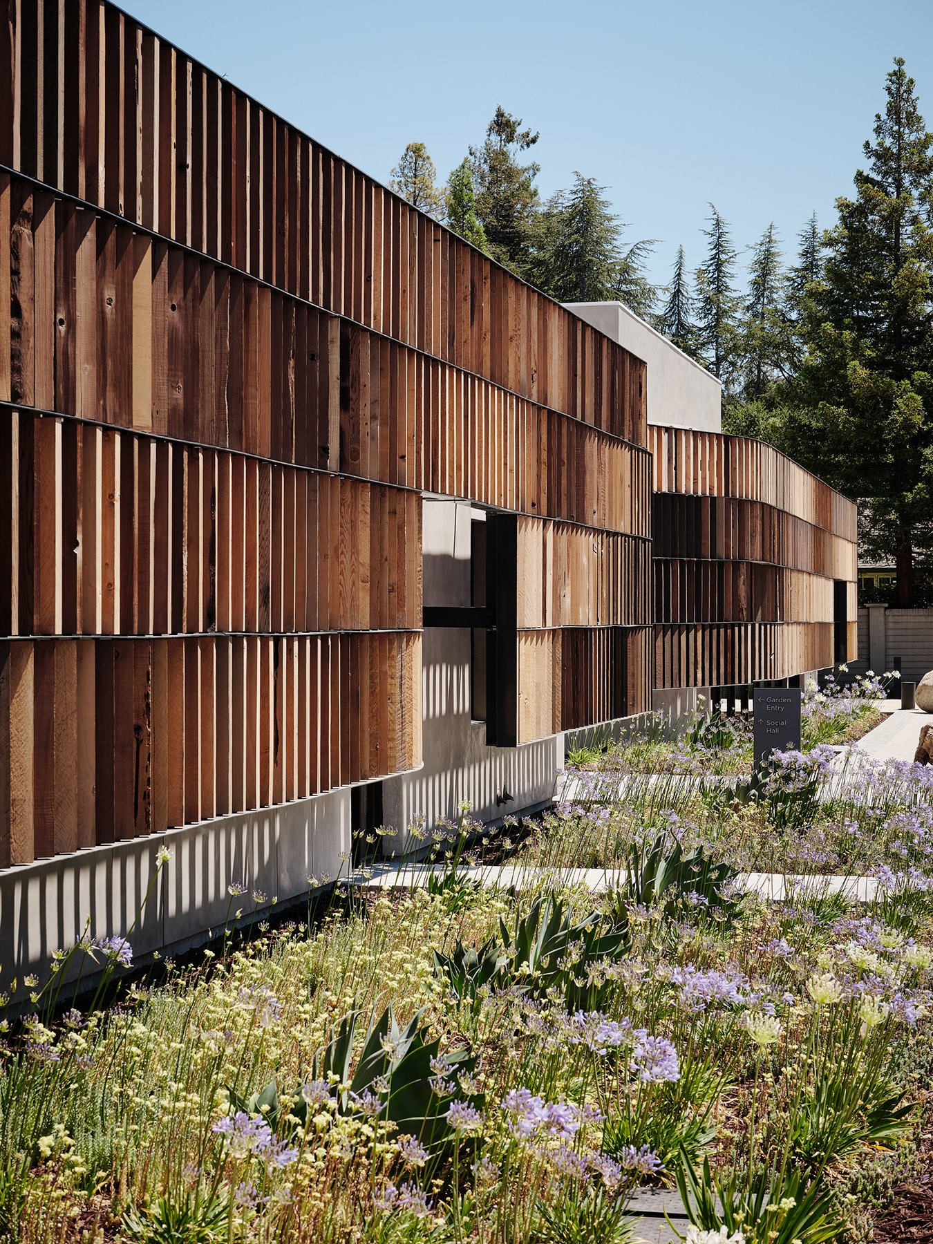 Kol Emeth Synagogue — Field Architecture