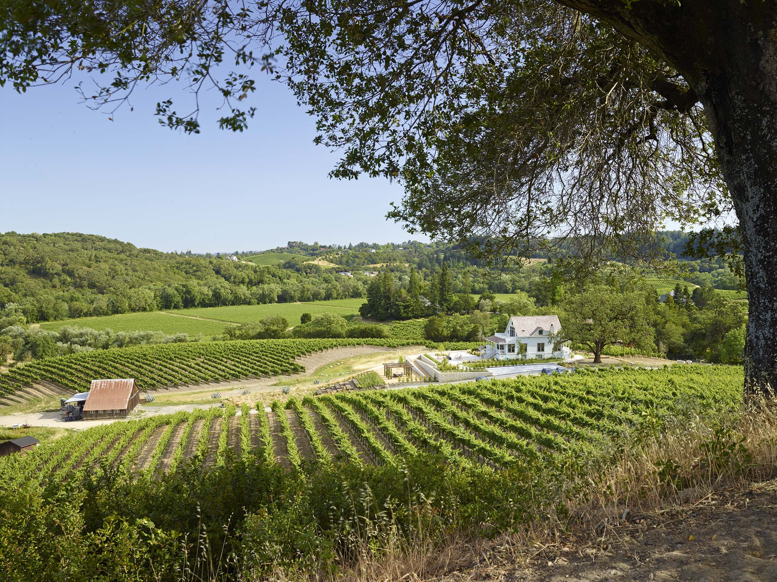 Kistler Vineyards — Surfacedesign, Inc.