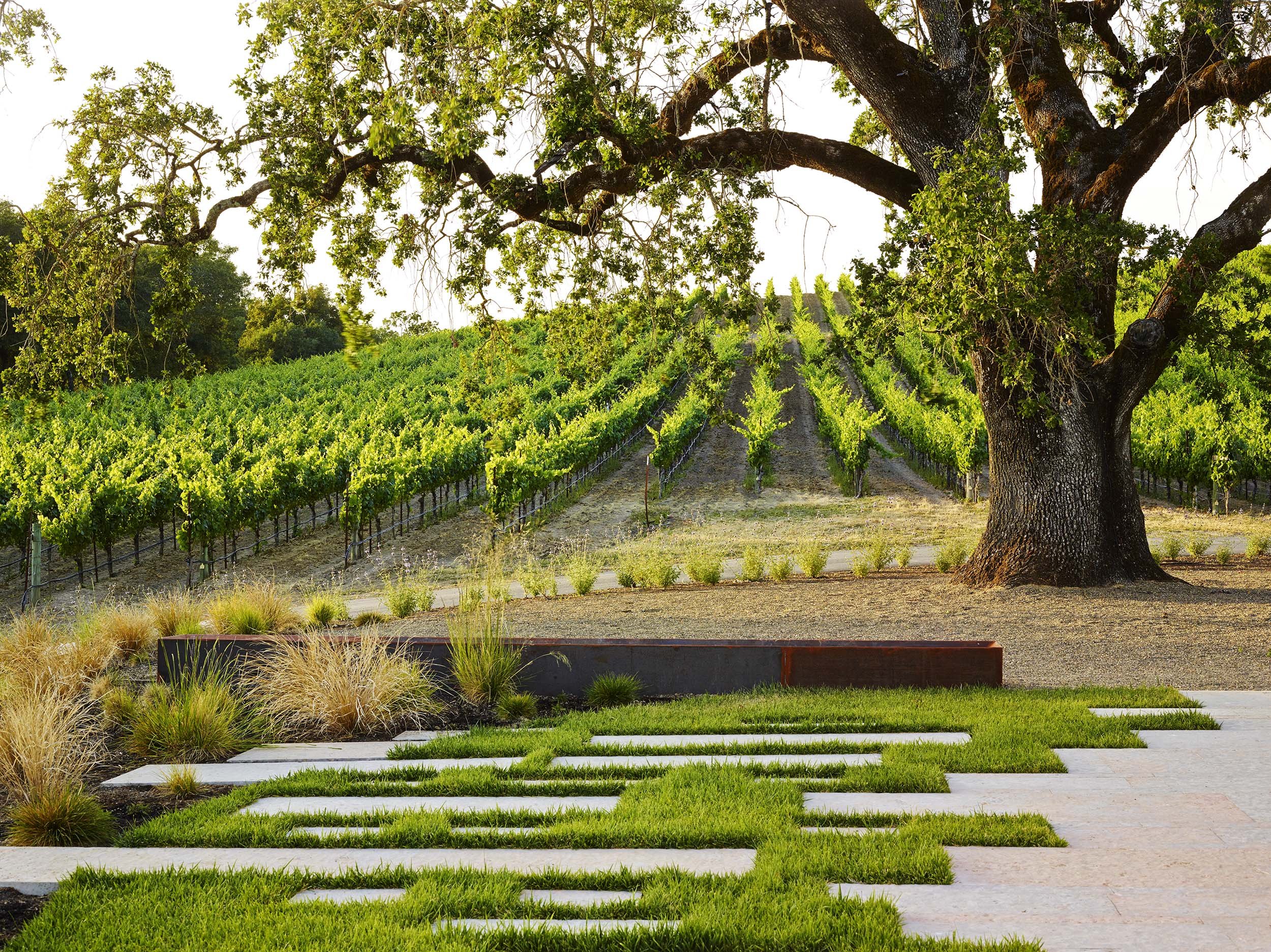 Kistler Vineyards — Surfacedesign, Inc.