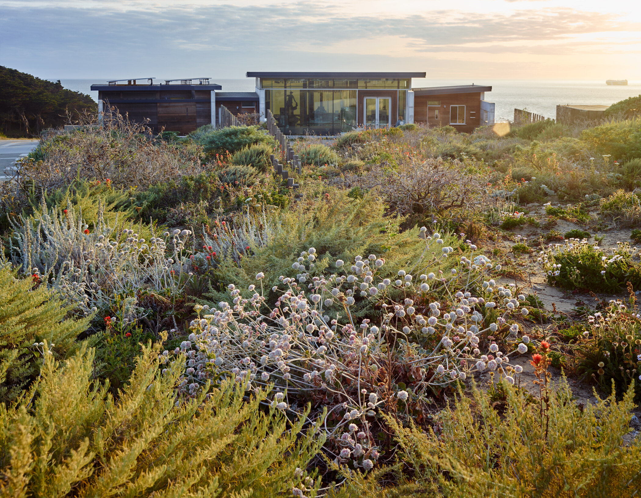 Lands End Lookout — Surfacedesign, Inc.