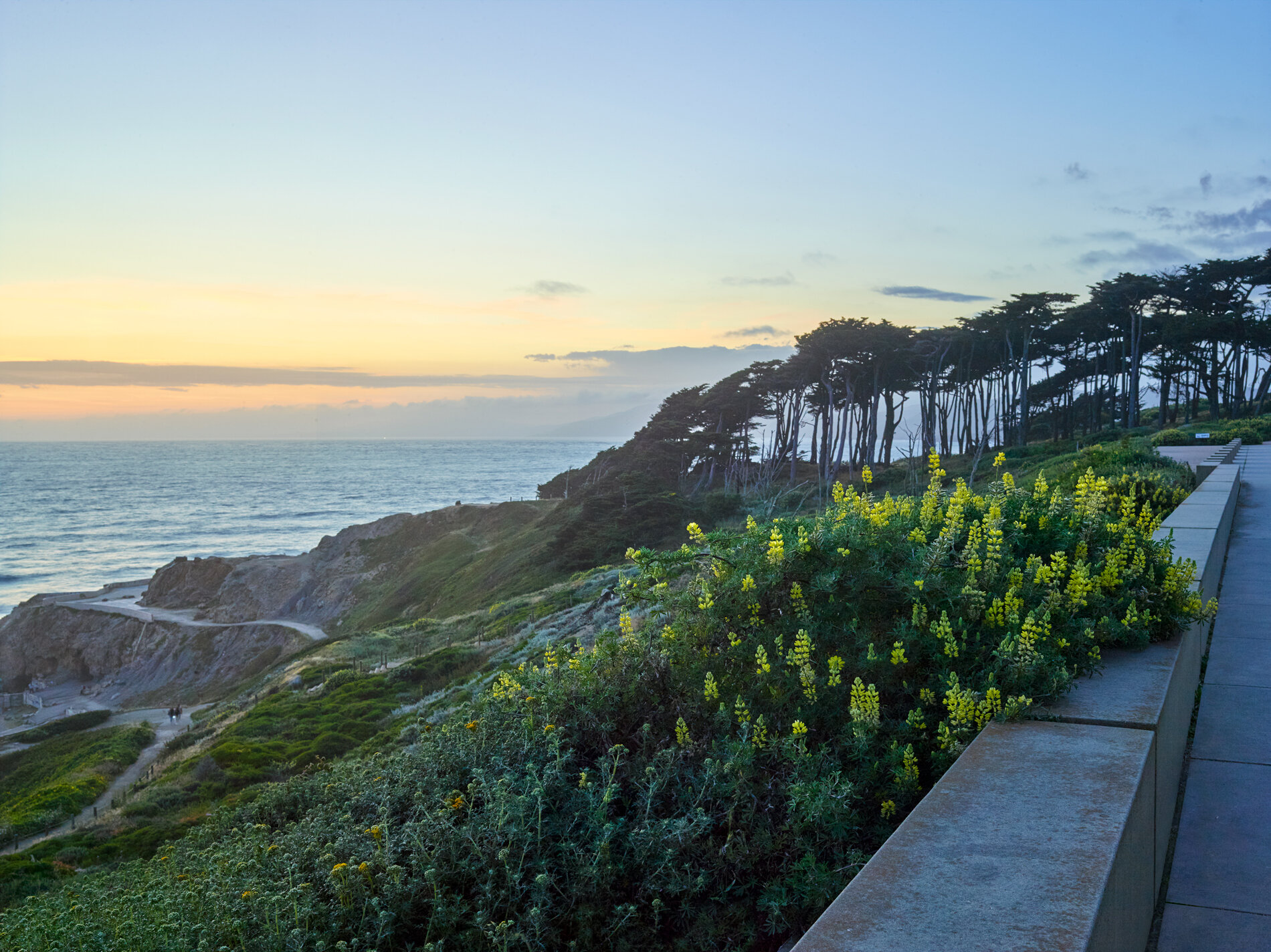 Lands End Lookout — Surfacedesign, Inc.