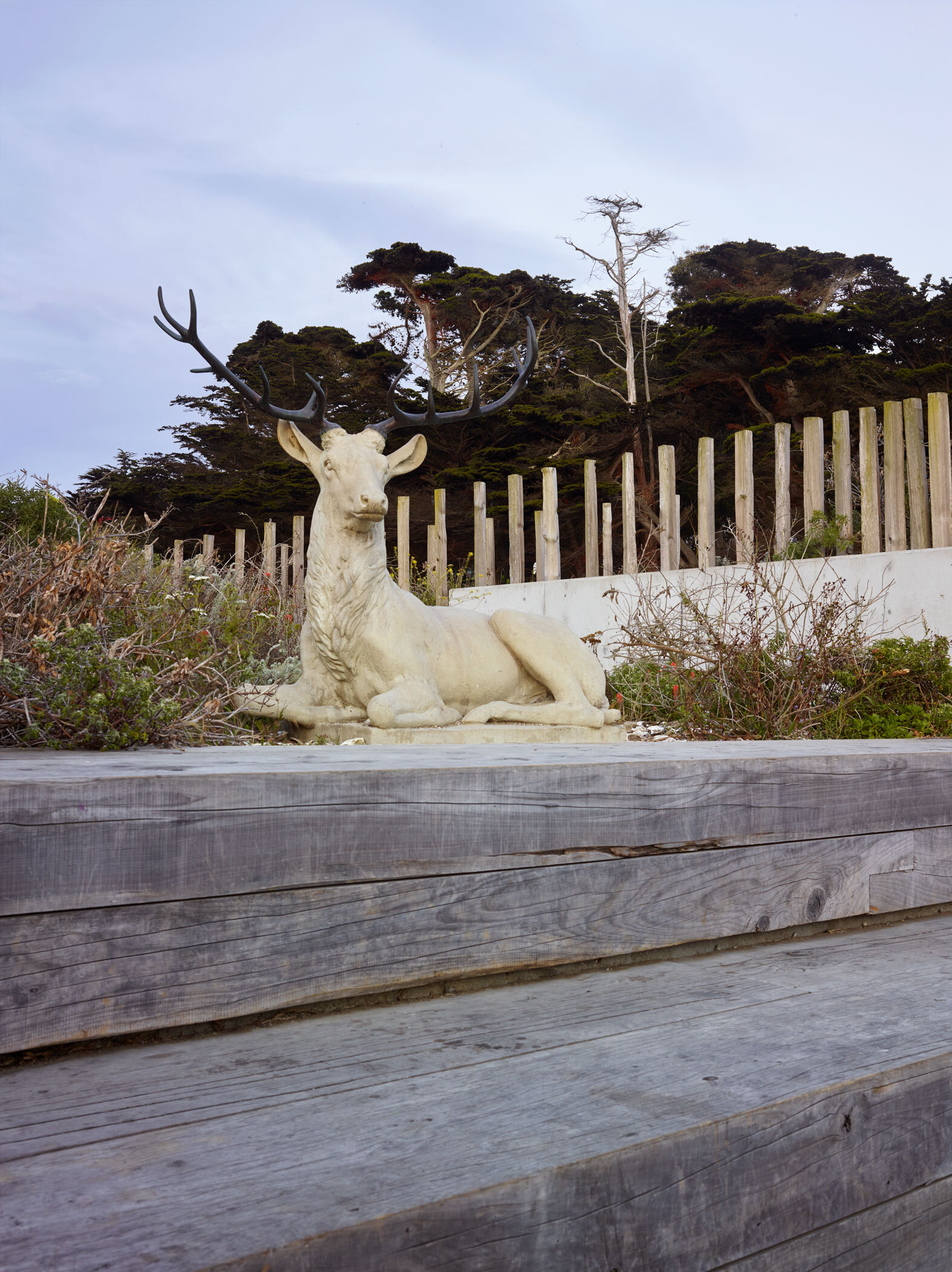 Lands End Lookout — Surfacedesign, Inc.