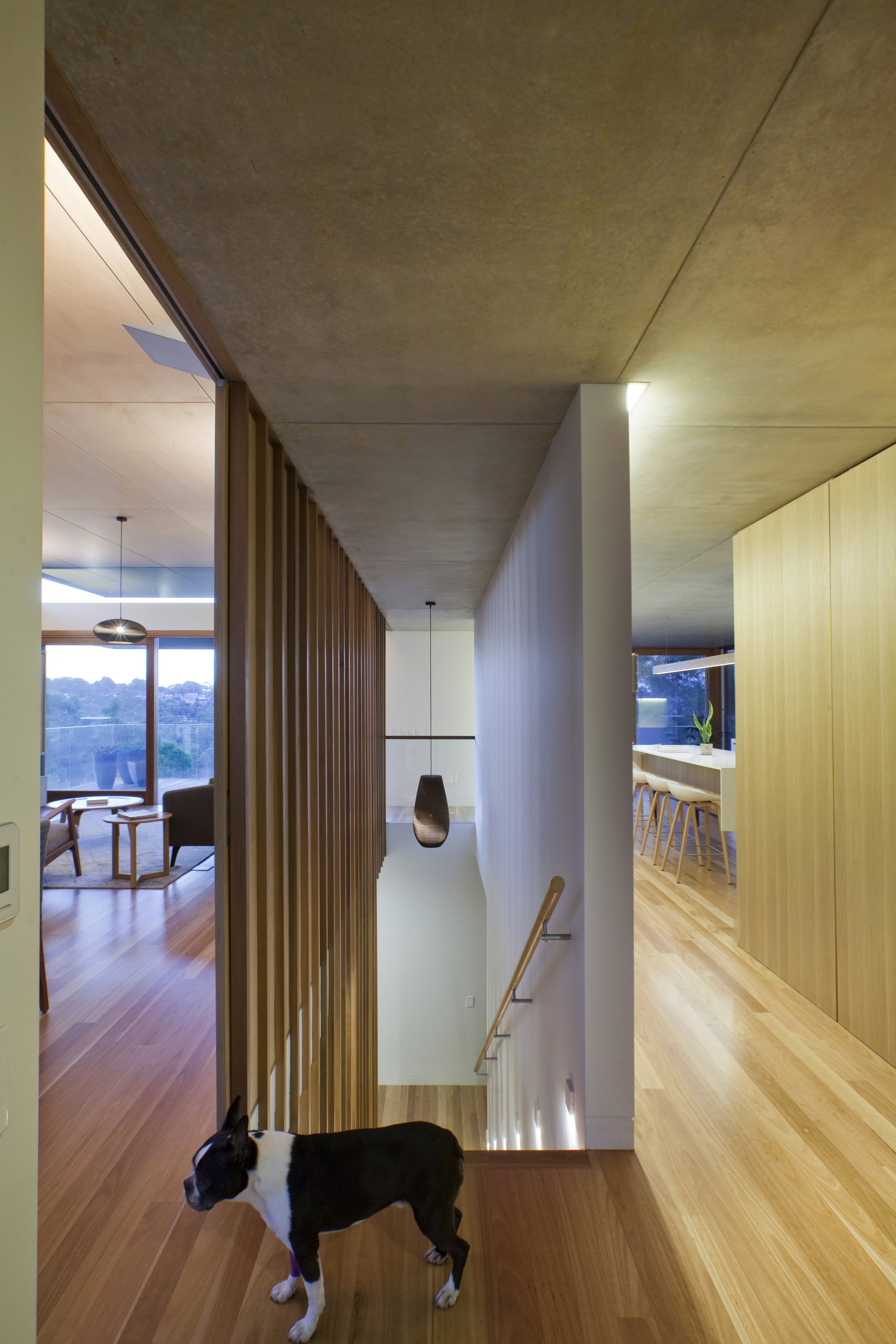 Look Through House — Castlepeake Architects