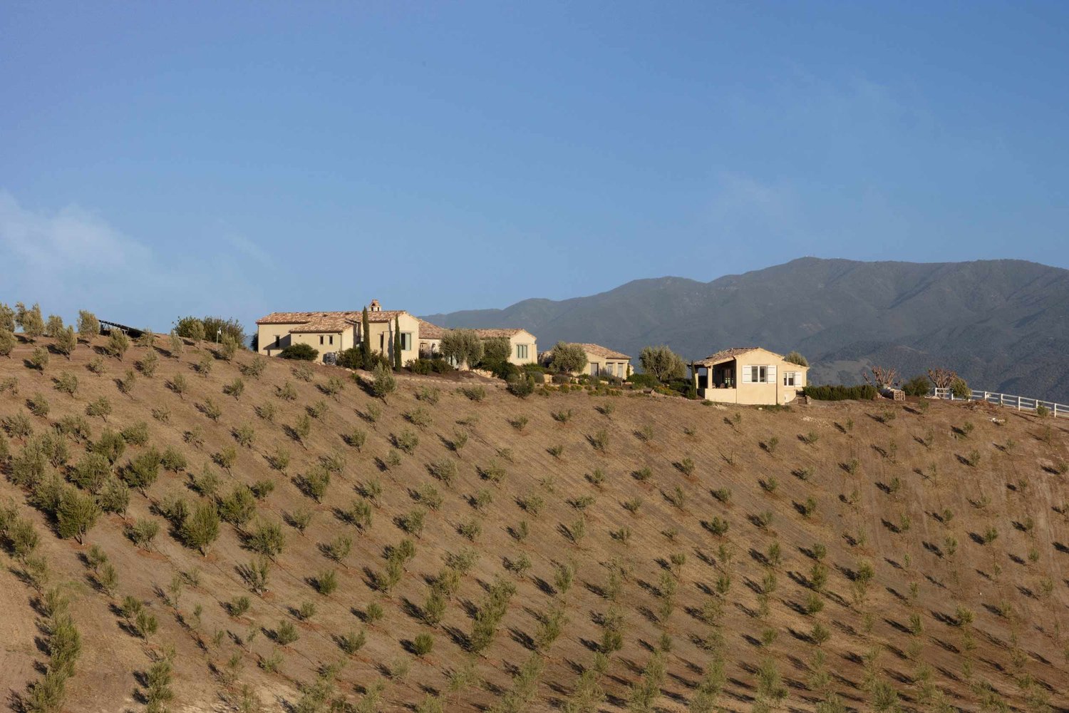 Luretík Farm — Tom Meaney | Architect