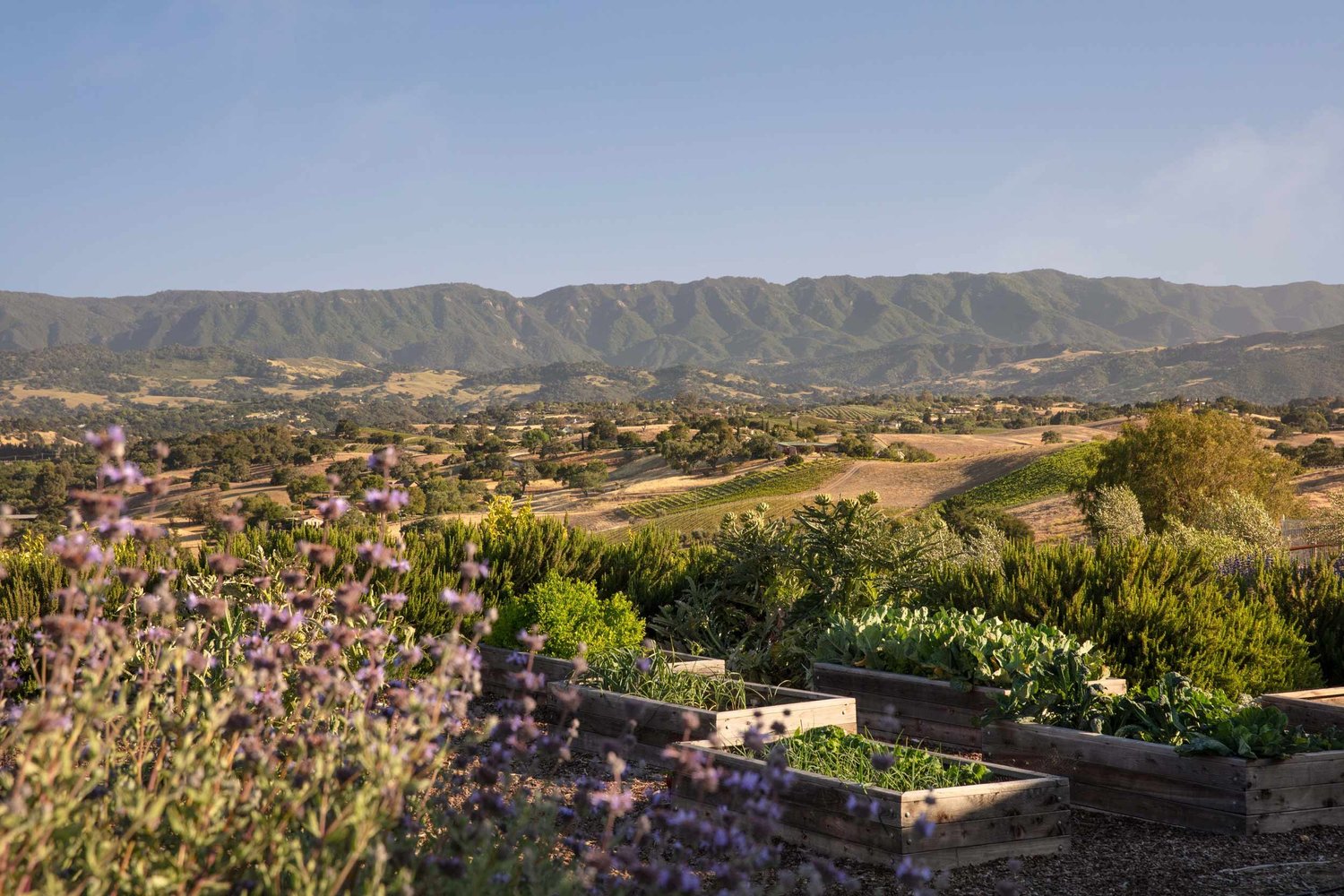 Luretík Farm — Tom Meaney | Architect