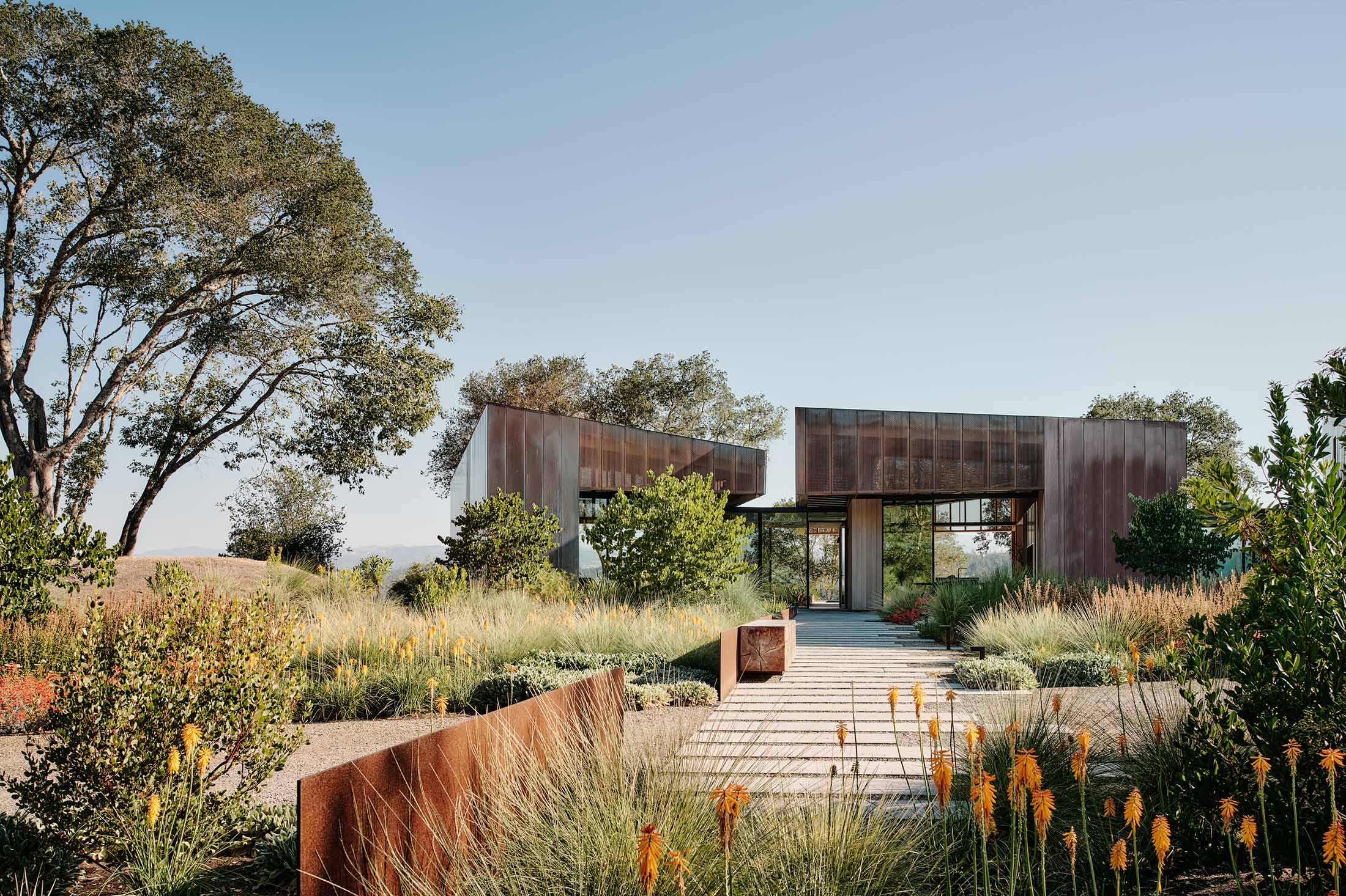 MADRONE RIDGE — Field Architecture