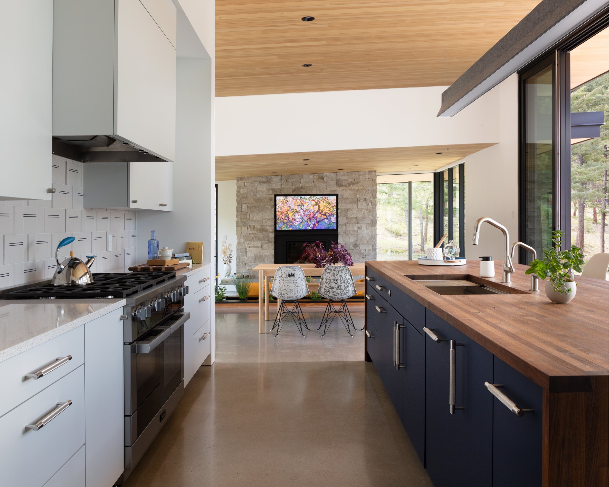 Mountain modern ranch home — TUCKER JOHNSON ARCHITECTS