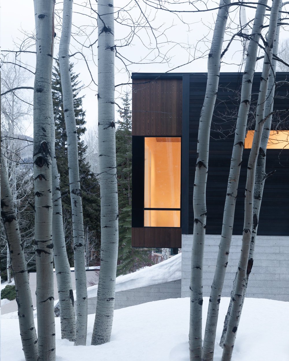 MEADOW BROOK RESIDENCE — TUCKER JOHNSON ARCHITECTS