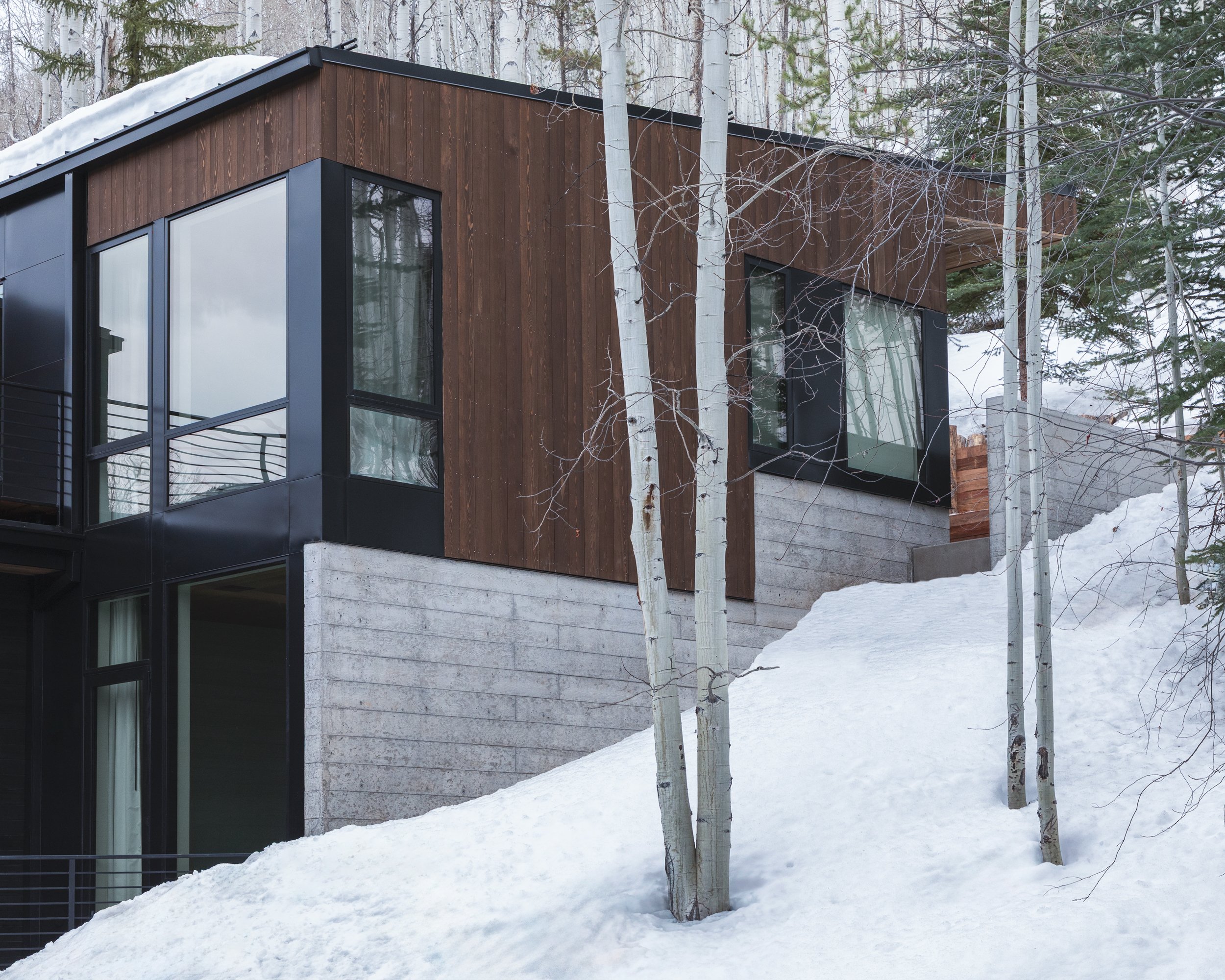 MEADOW BROOK RESIDENCE — TUCKER JOHNSON ARCHITECTS