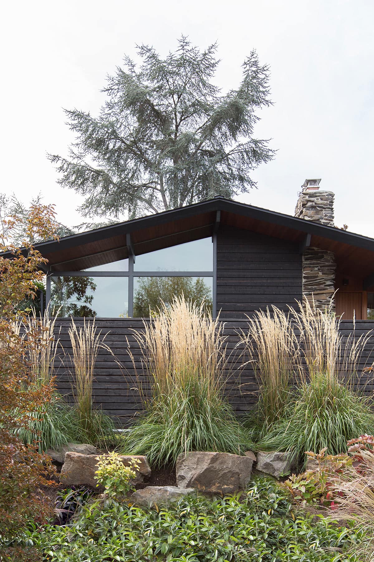 Madison Park Yardscape — SHED Architecture & Design