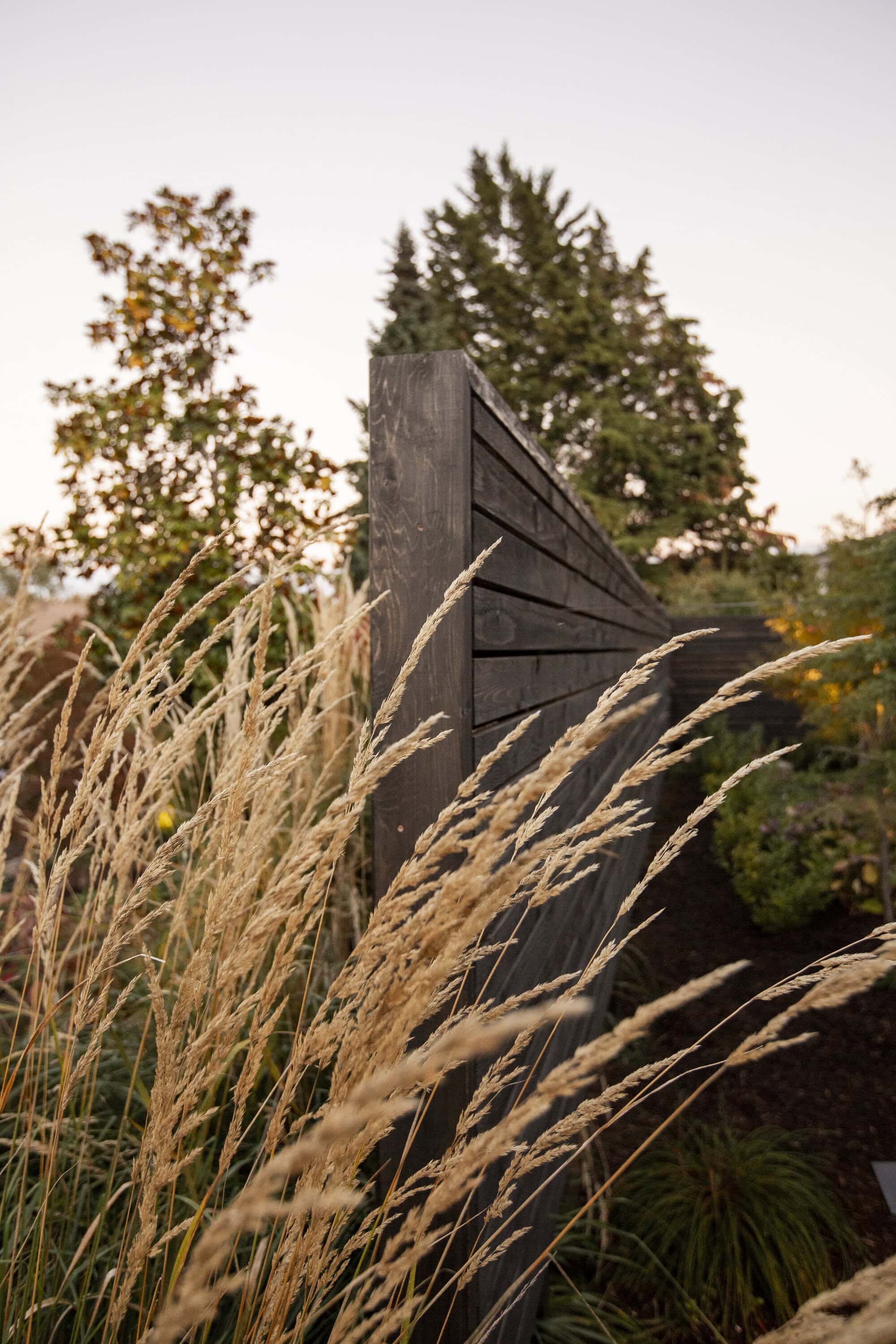 Madison Park Yardscape — SHED Architecture & Design